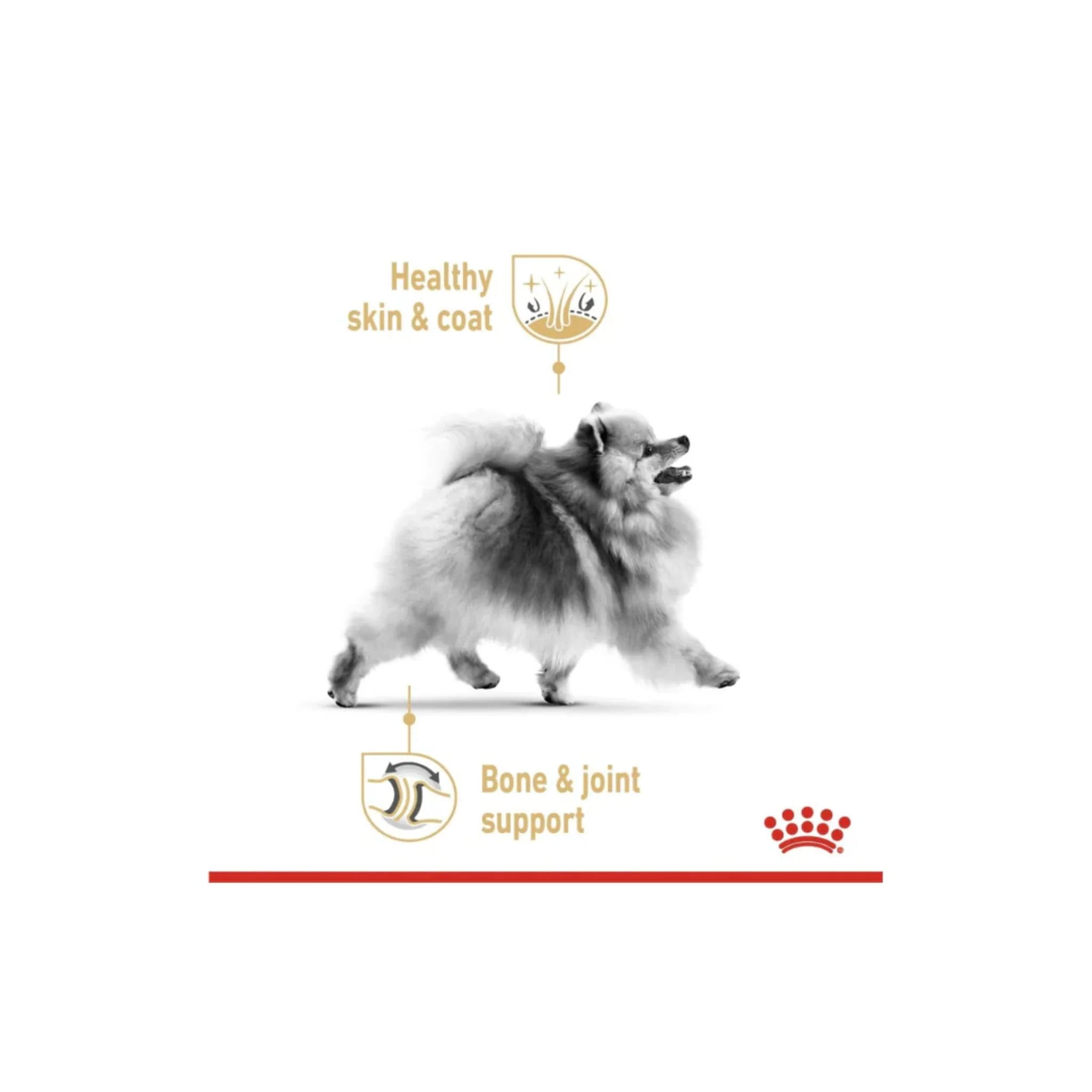 Royal Canin Breed Health Nutrition Pomeranian Dog Wet Food - 12x85g - Image 5