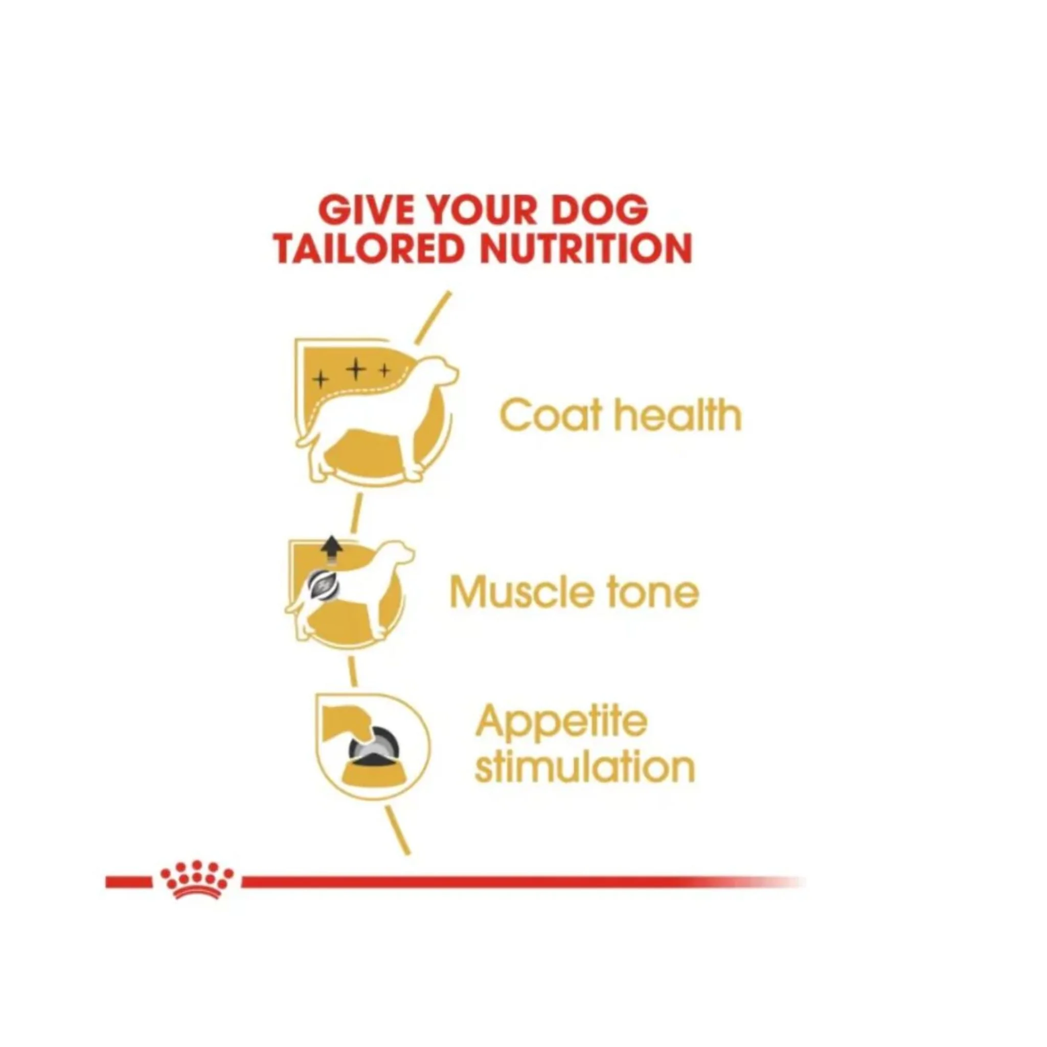 Royal Canin Breed Health Nutrition Poodle Adult Dog Wet Food - 12x85g - Image 5