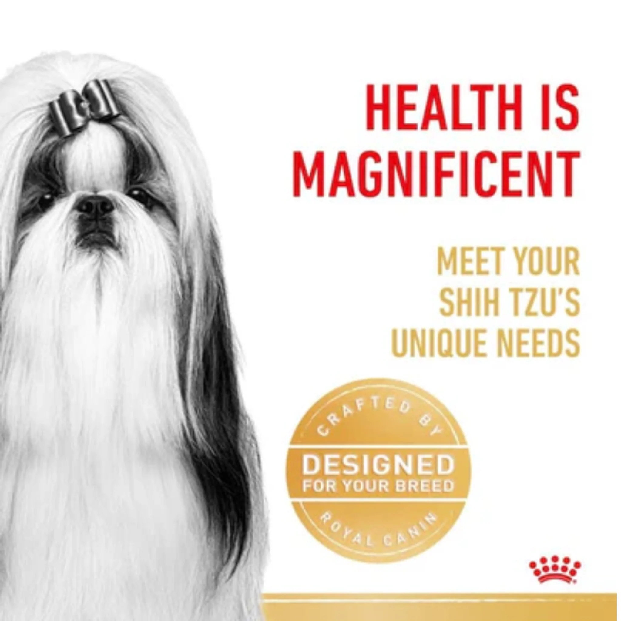 Royal Canin Breed Health Nutrition Shih Tzu Wet Food - 12X85G - Image 5