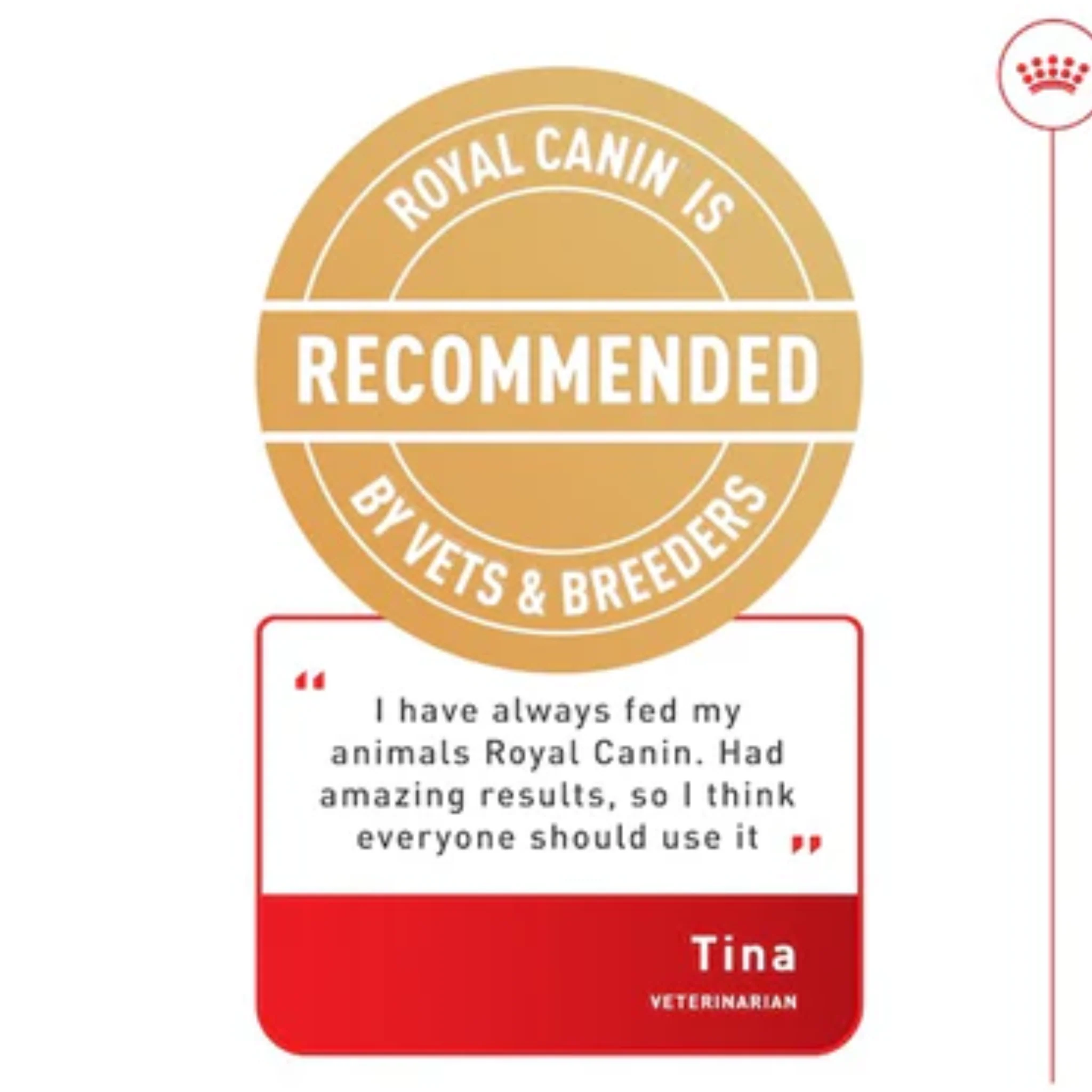 Royal Canin Breed Health Nutrition Shih Tzu Wet Food - 12X85G - Image 7