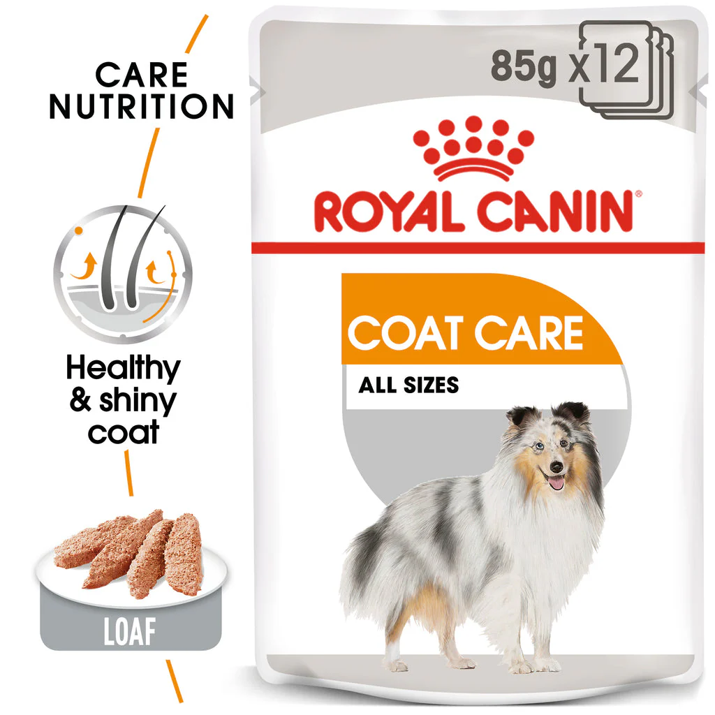 Royal Canin Nutrition Coat Care Dog Wet Food Box - 12x85g - Image 3