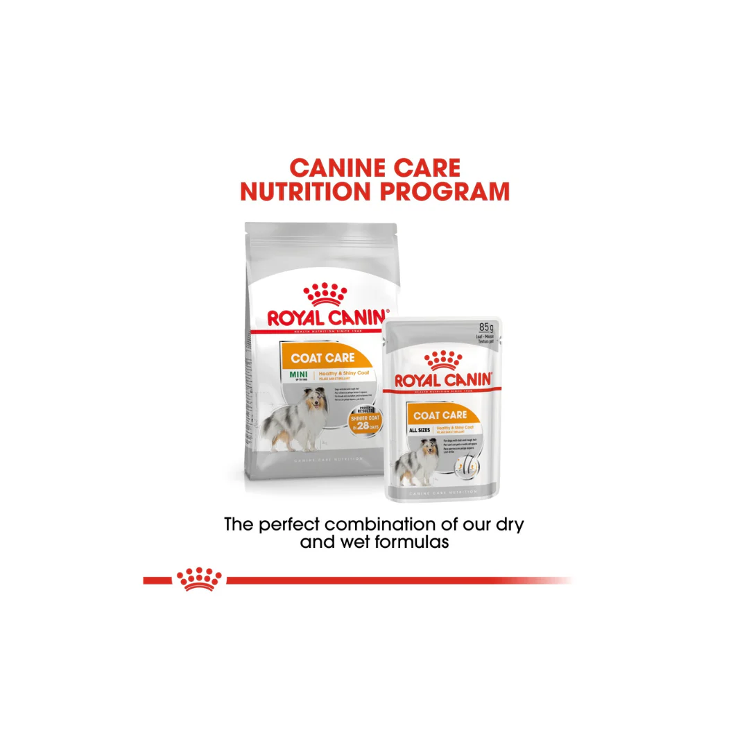 Royal Canin Nutrition Coat Care Dog Wet Food Box - 12x85g - Image 7