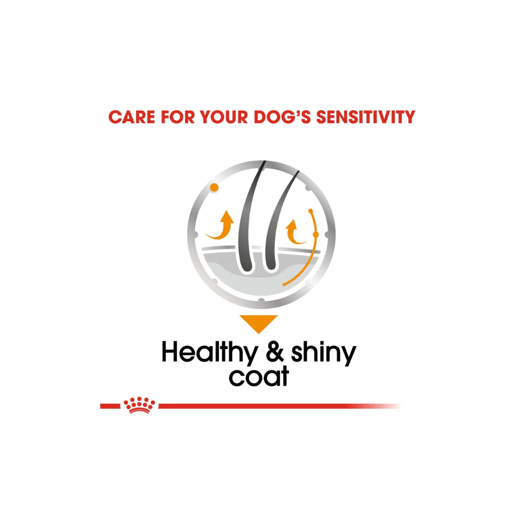 Royal Canin Nutrition Coat Care Dog Wet Food Box - 12x85g - Image 5