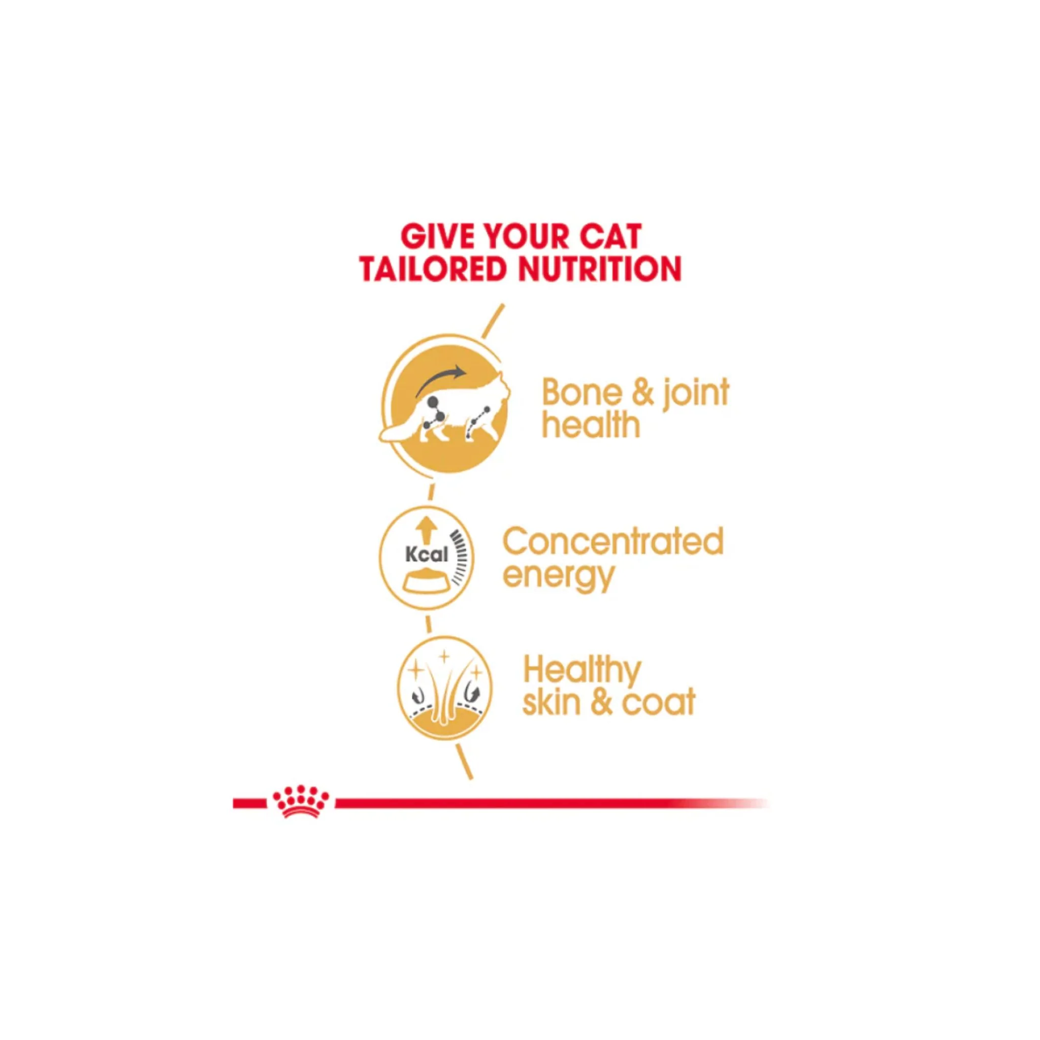 Royal Canin Feline Breed Nutrition Maine Coon Cat Wet Food - 85G - Image 4