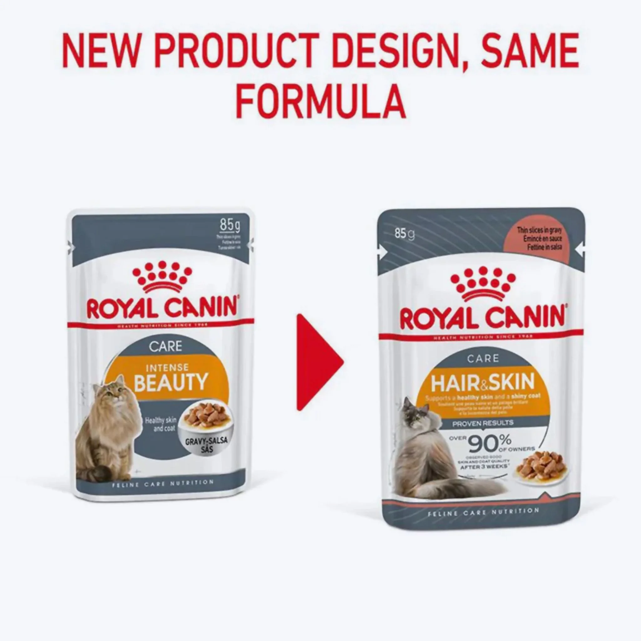 Royal Canin Feline Care Nutrition Hair & Skin Gravy Cat Wet Food - 12X85G - Image 4