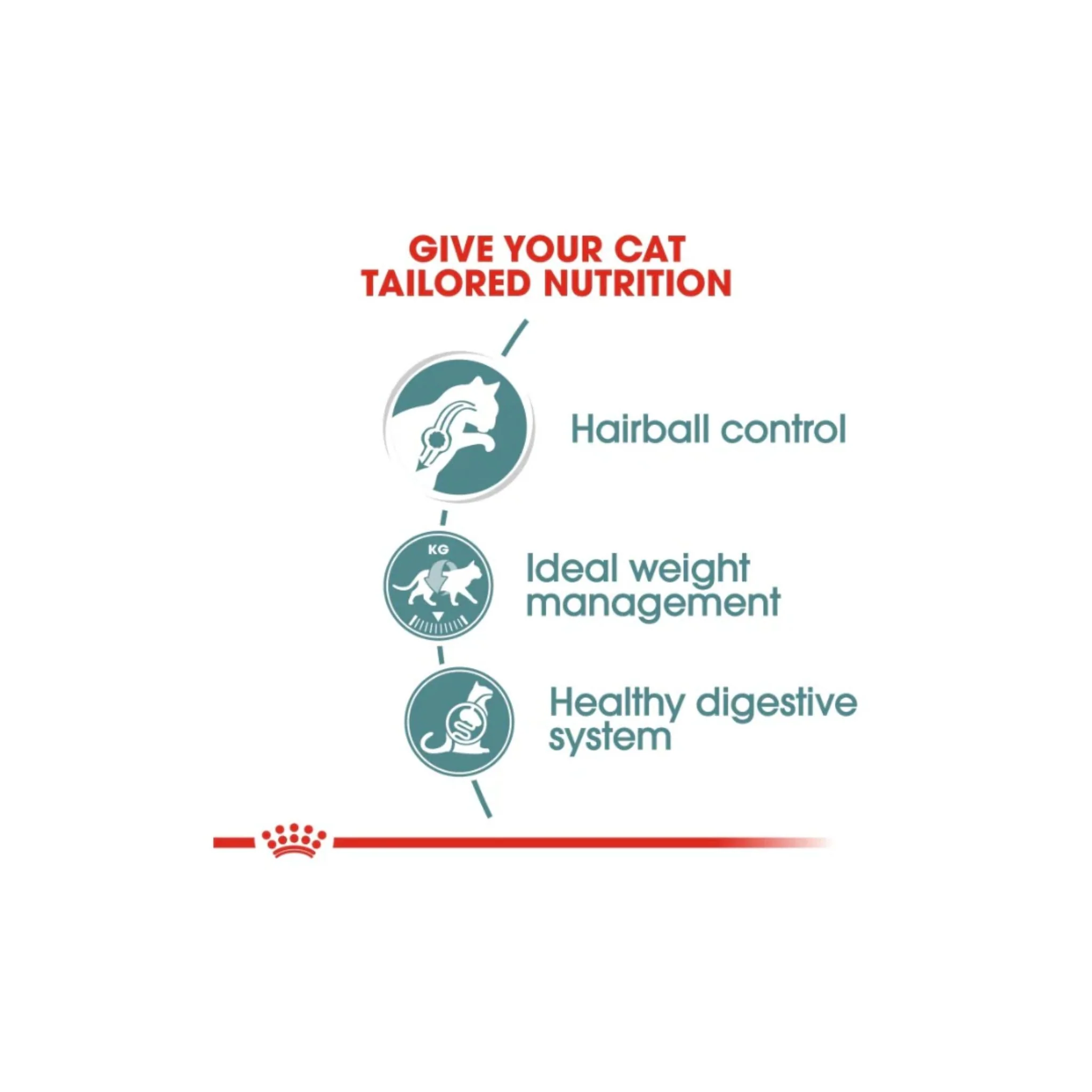 Royal Canin Feline Care Nutrition Hairball Gravy Cat Wet Food - 12X85G - Image 5