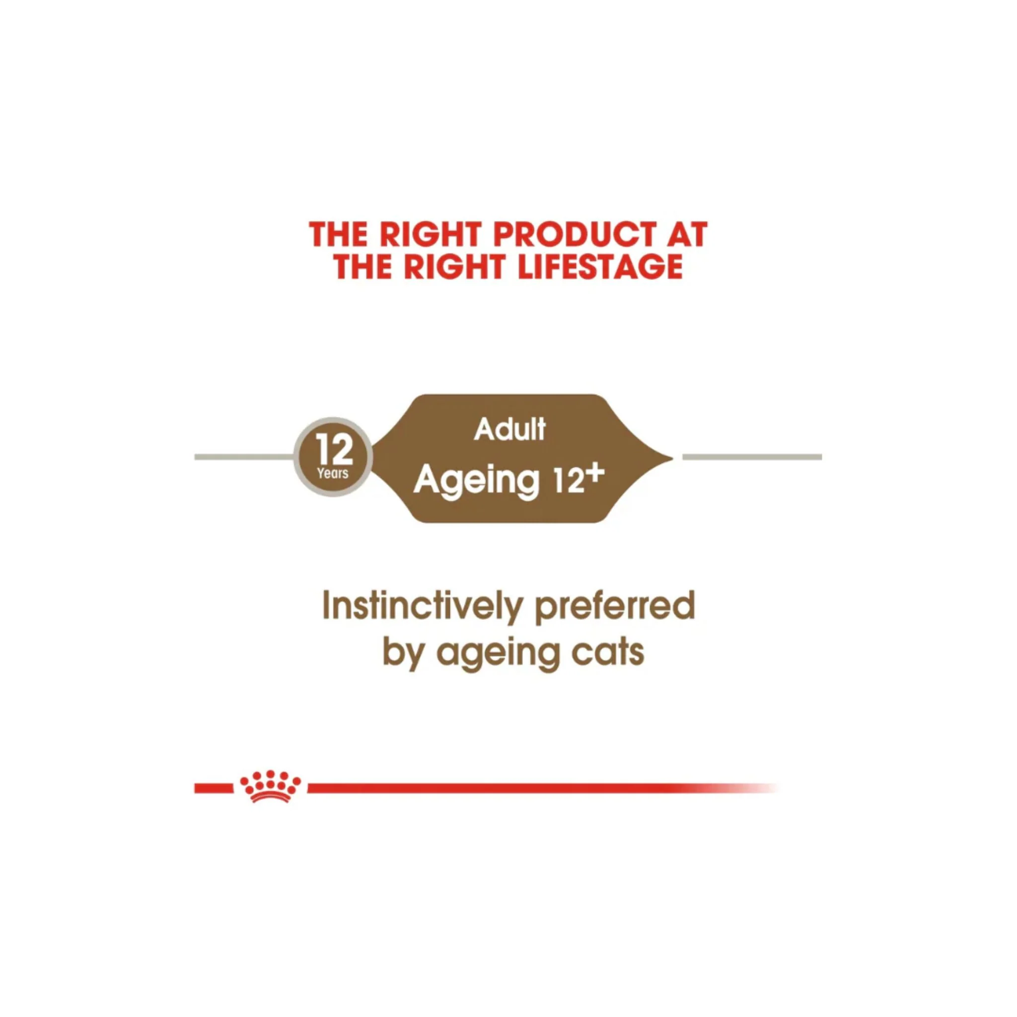 Royal Canin Feline Health Nutrition Ageing 12+ Jelly Cat Wet Food - 85g - Image 4