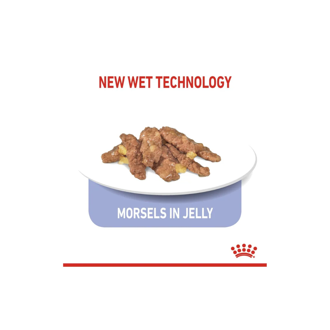 Royal Canin Feline Health Nutrition Indoor 7+ Jelly Cat Wet Food - Image 3