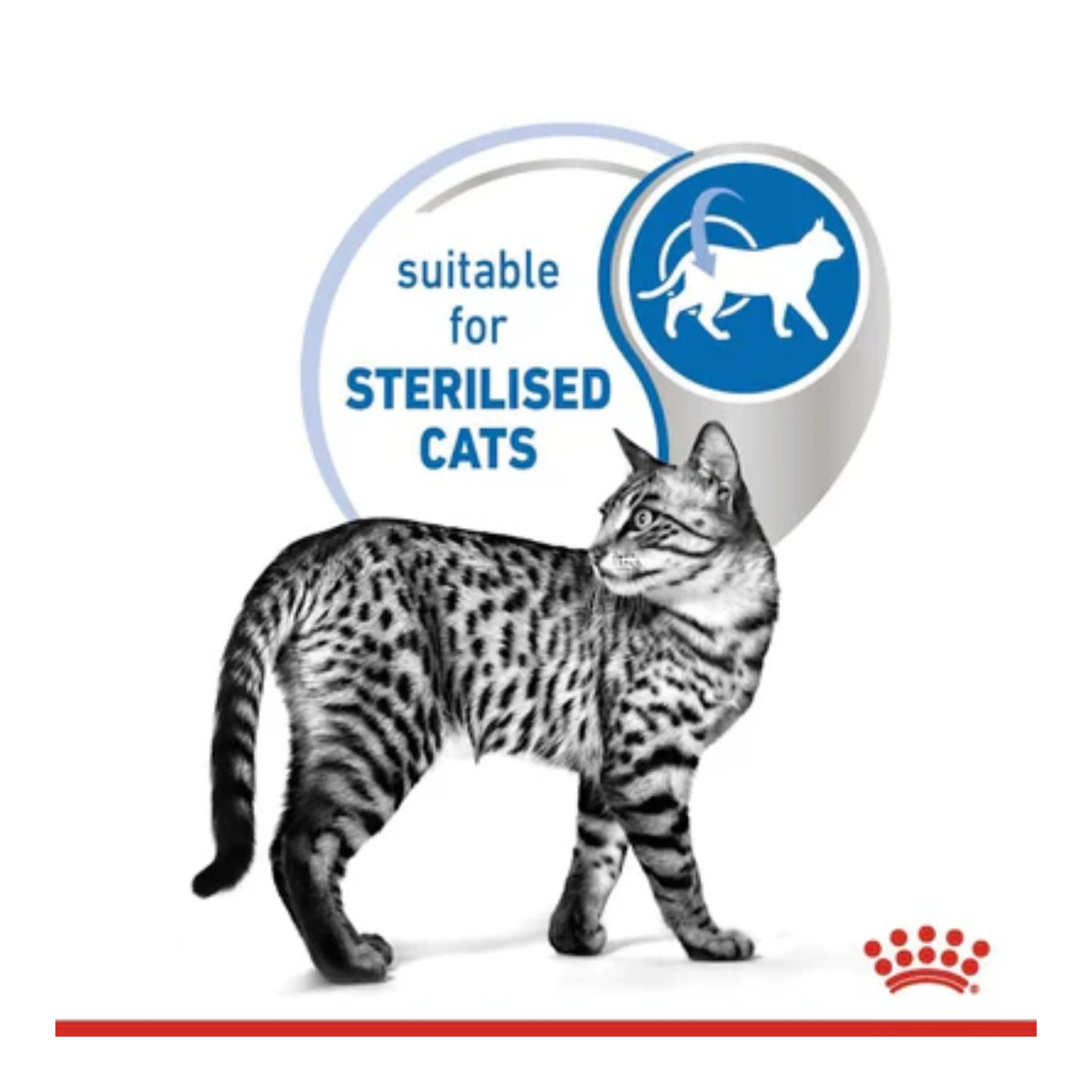 Royal Canin Feline Health Nutrition Indoor Gravy Cat Wet Food - 85G - Image 4