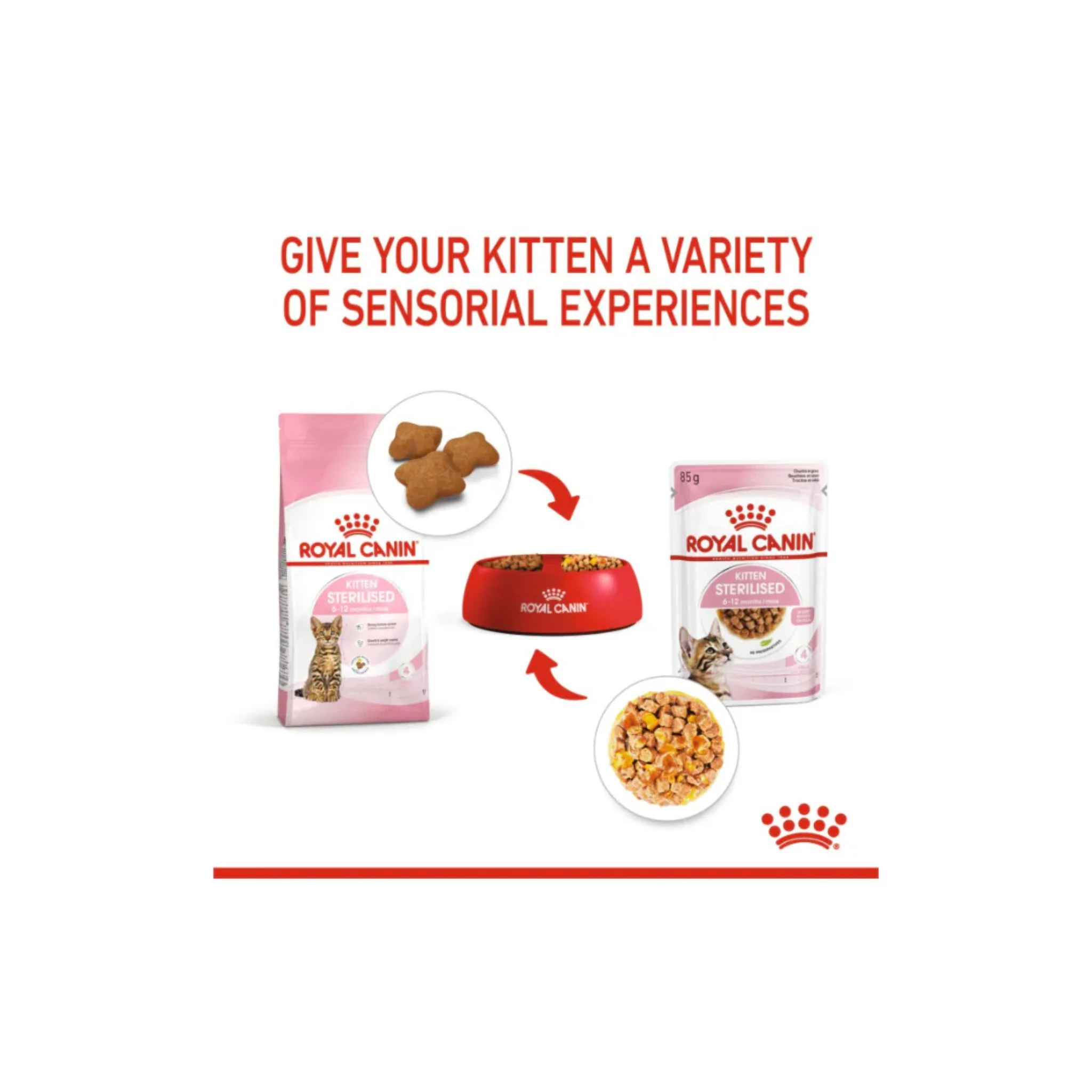 Royal Canin Feline Health Nutrition Kitten Sterilised Gravy Cat Wet Food - 12X85G - Image 6