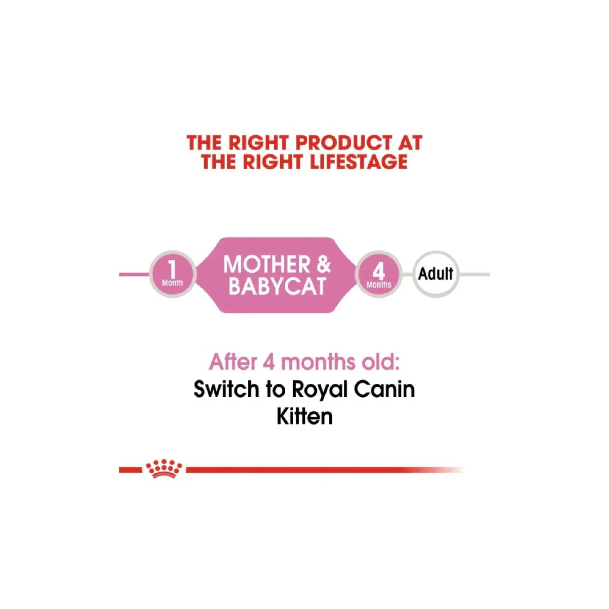 Royal Canin Feline Health Nutrition Mother & Babycat Mousse Cat Wet Food - 12X195G - Image 3