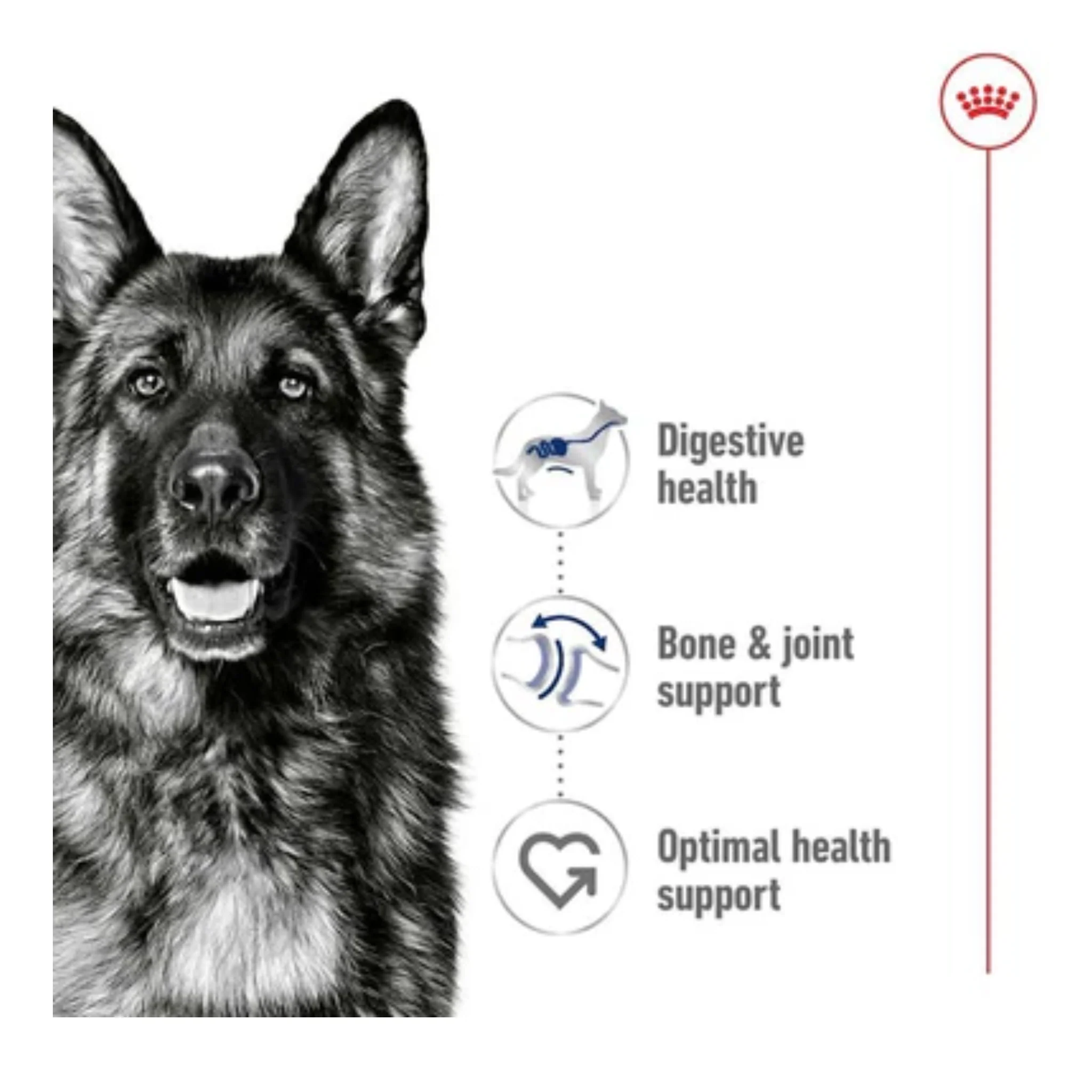 Royal Canin Health Nutrition Maxi Adult Cat Wet Food - 10X140G - Image 6