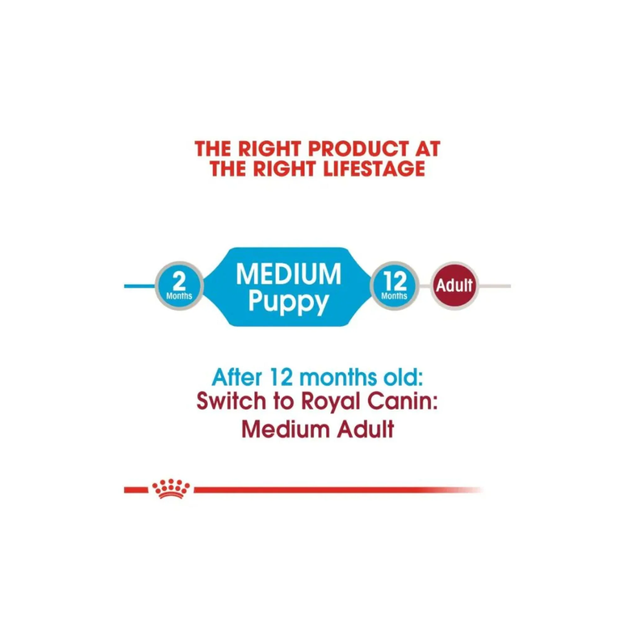 Royal Canin Health Nutrition Medium Puppy Wet Food - 10x140g - Image 5