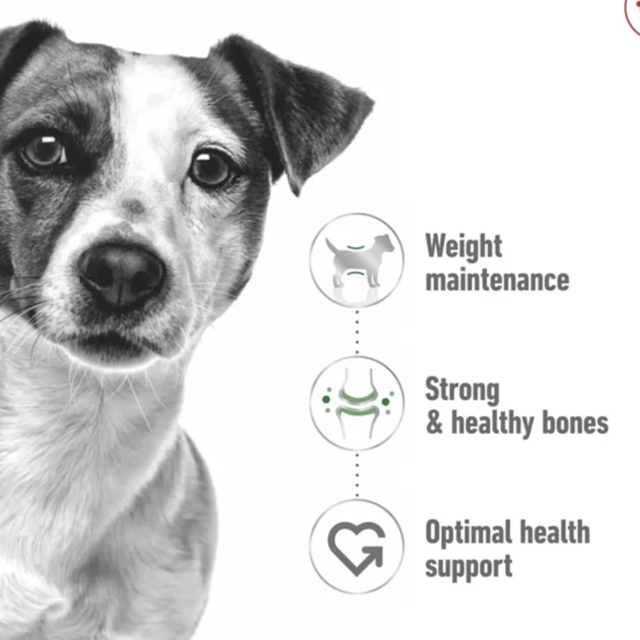 Royal canin Health Nutrition Mini Adult Dog Wet Food - 85g - Image 4