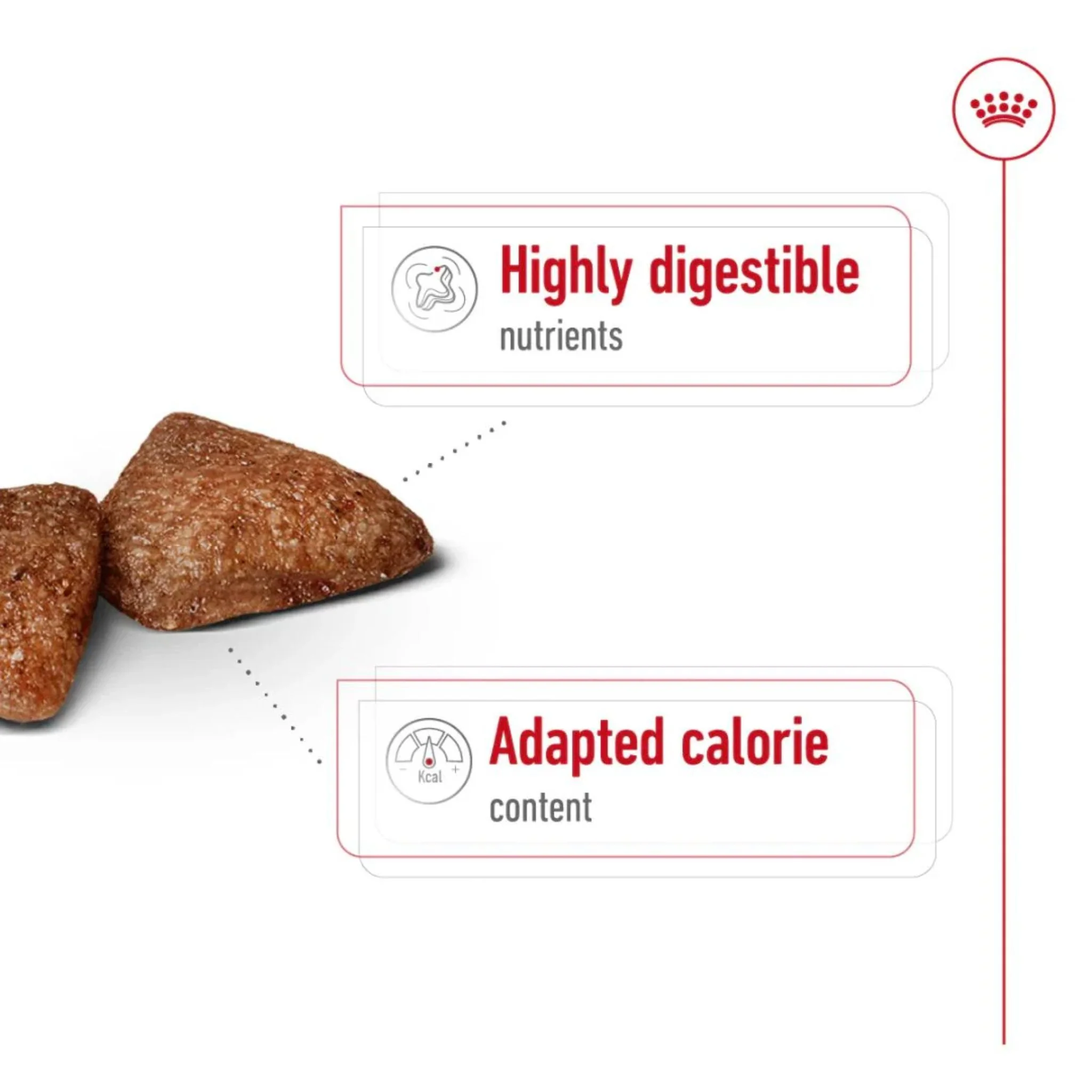 Royal Canin Size Health Mini Indoor Adult Dry Dog Food - 1.5kg - Image 4