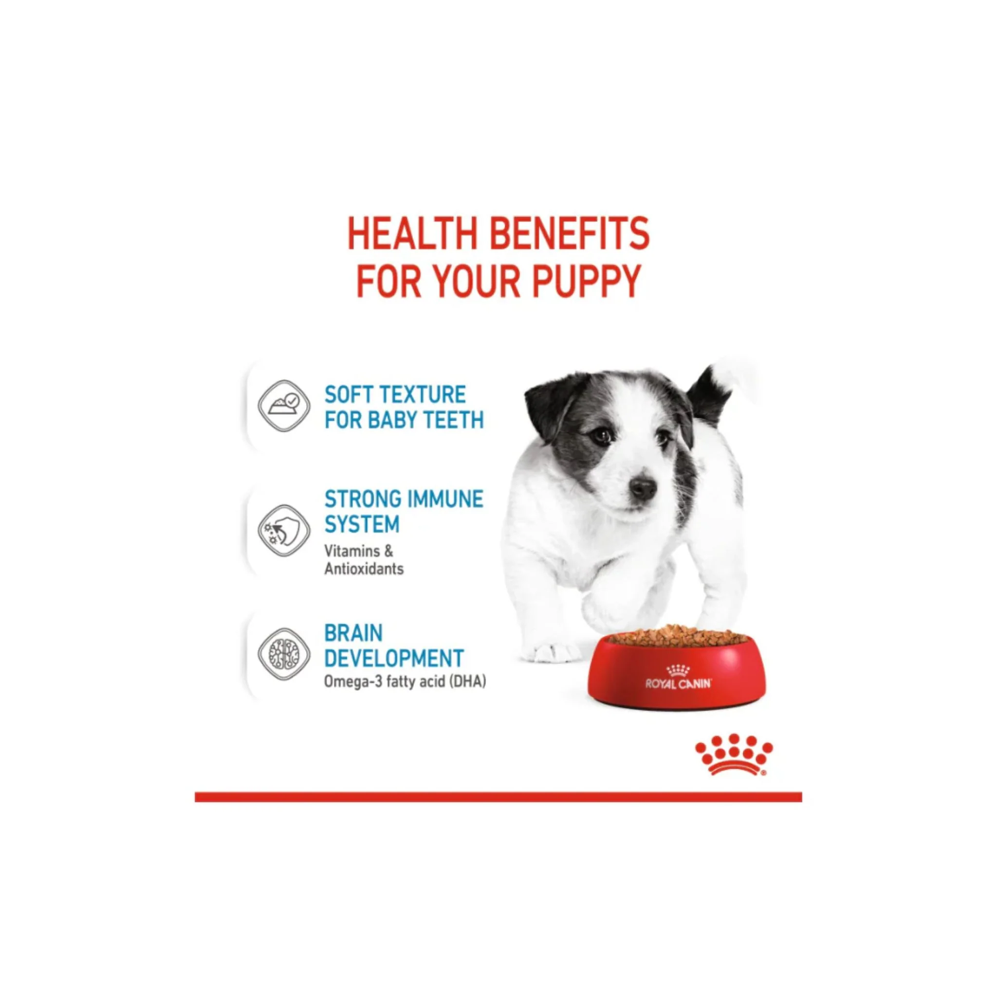 Royal Canin Size Health Nutrition Mini Puppy Wet Food 12x85g - Image 5
