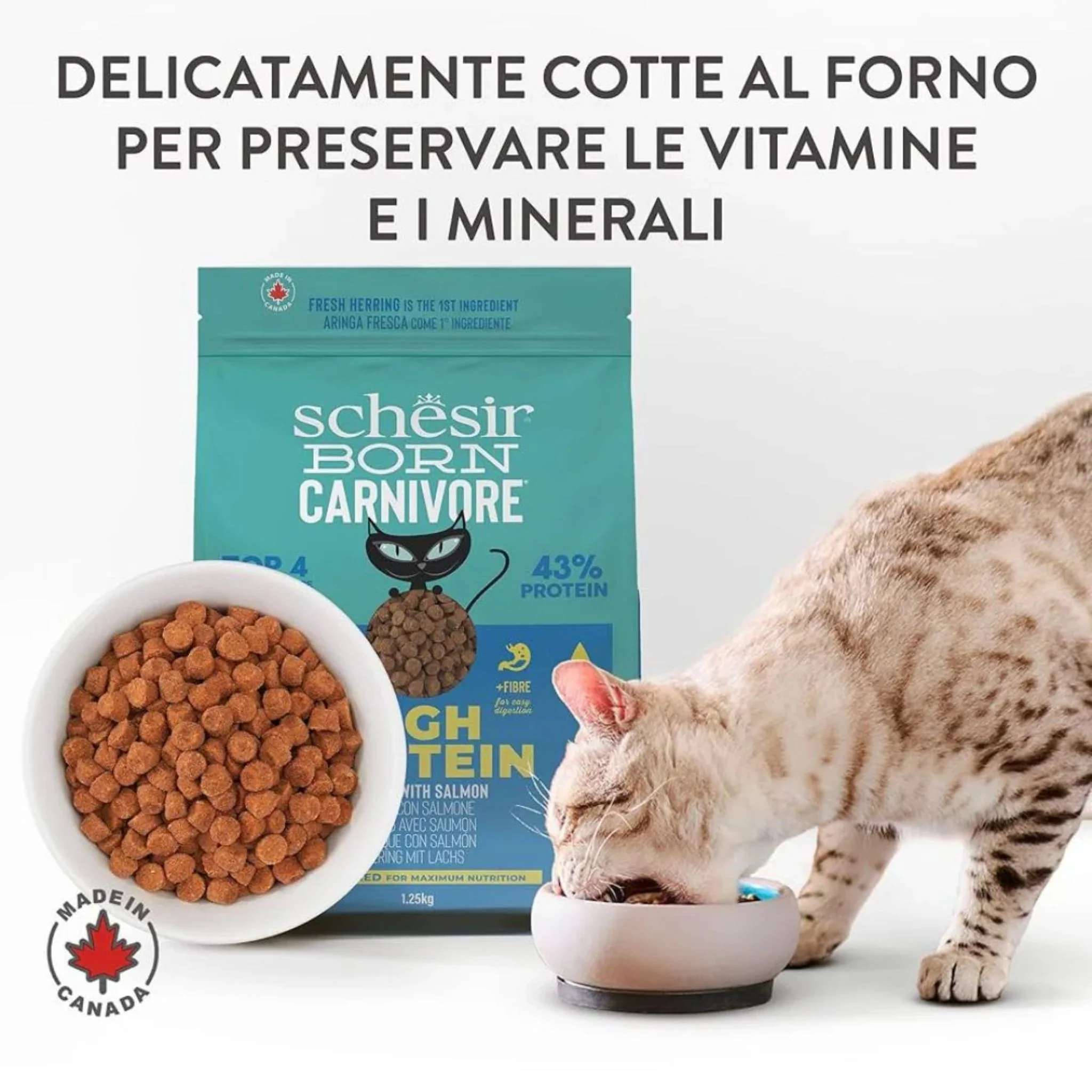 Schesir Born Carnivore Herring & Salmon Dry Cat Food - 1.25kg - Image 3