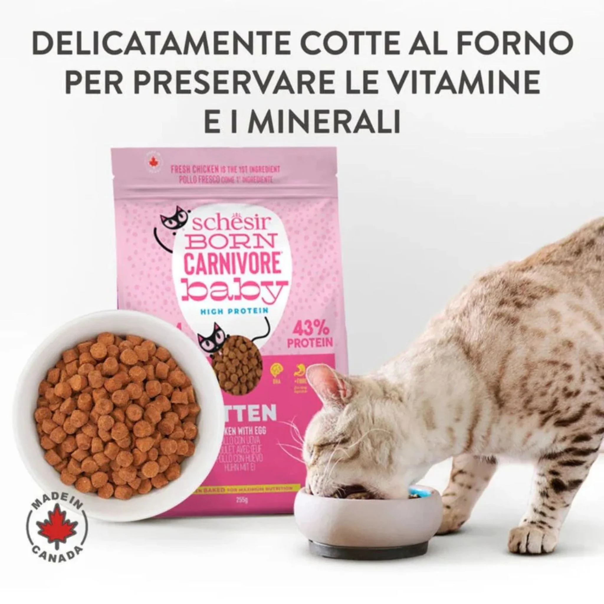 Schesir Born Carnivore Kitten Chicken & Egg Dry Food - 1.25kg - Image 5