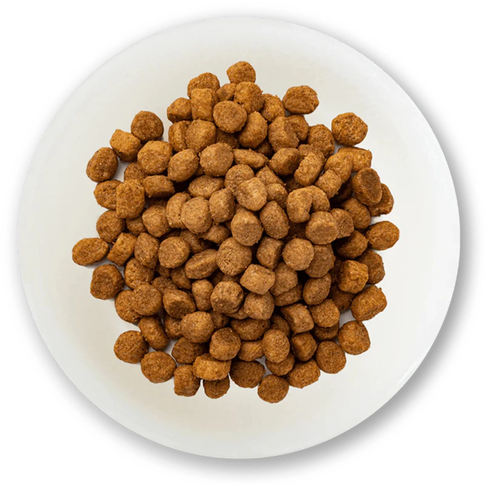 Schesir Small Adult Fish Dry Dog Food - 2kg - Image 3