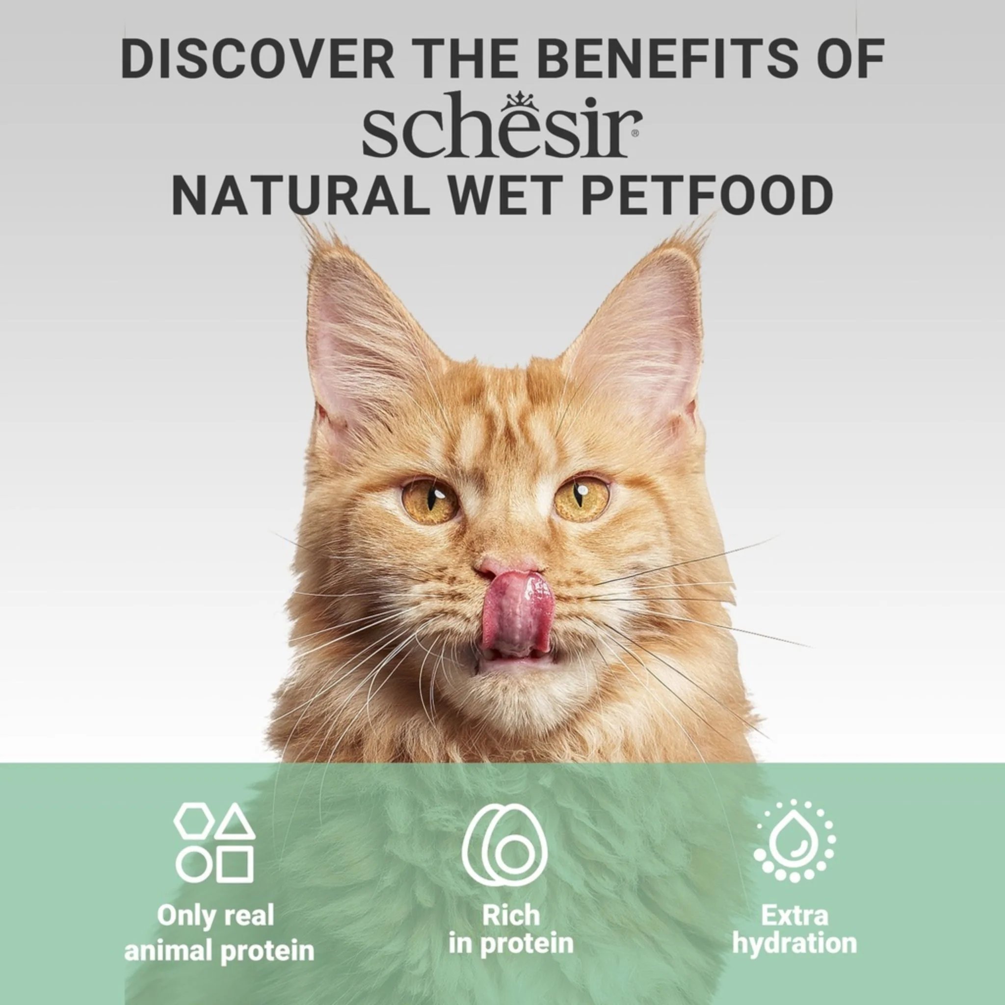 Schesir Complements Cat Wet Food Chicken With Beef In Broth  -  70g - Image 7