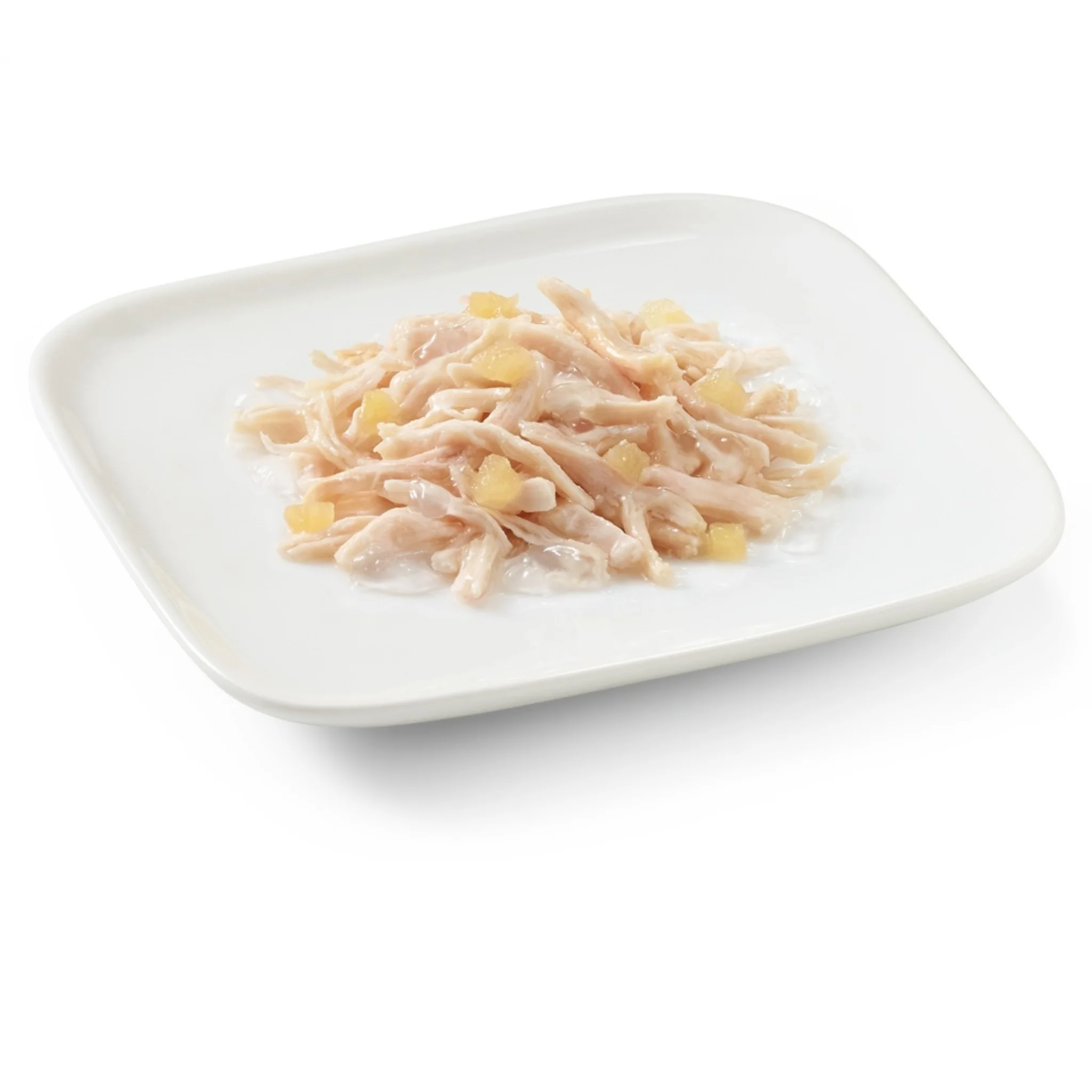 Schesir Dog Wet Food Chicken Fillets With Apple - 150G - Image 2