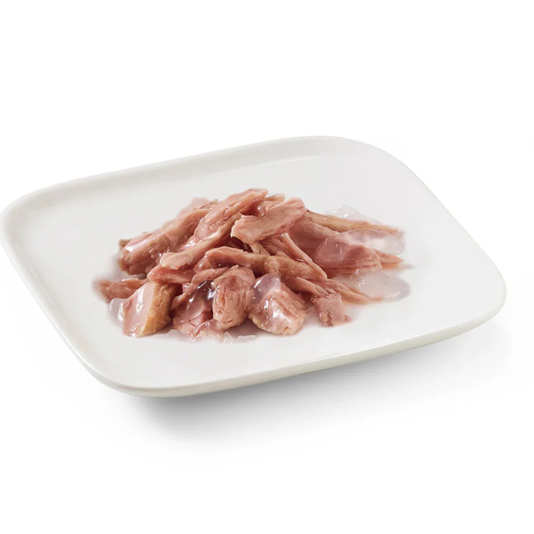 Schesir Dog Wet Food In Jelly Can Tuna - 150g - Image 2