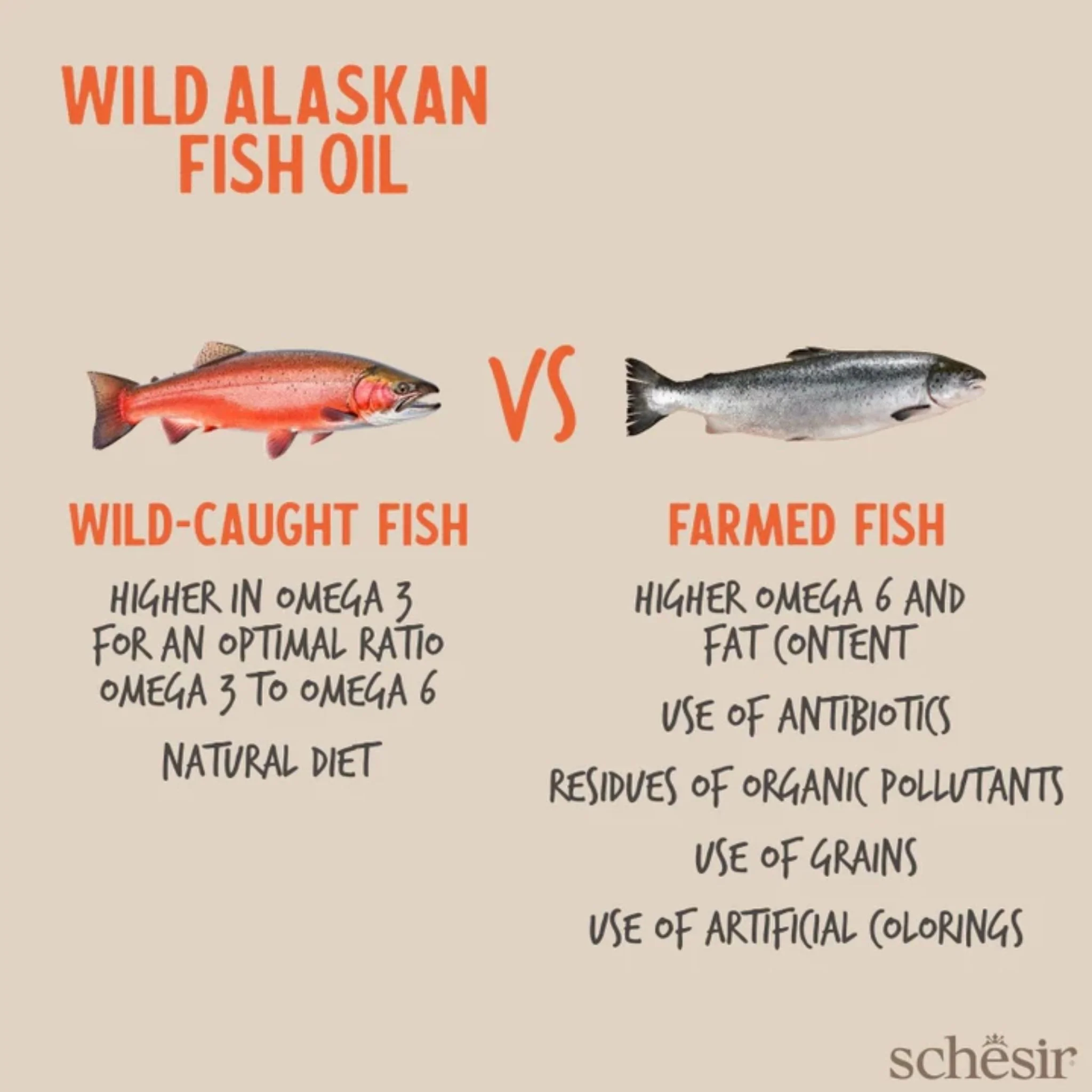 Schesir Wild Alaskan Fish Oil Omega 3 For Dog & Cat - Image 4