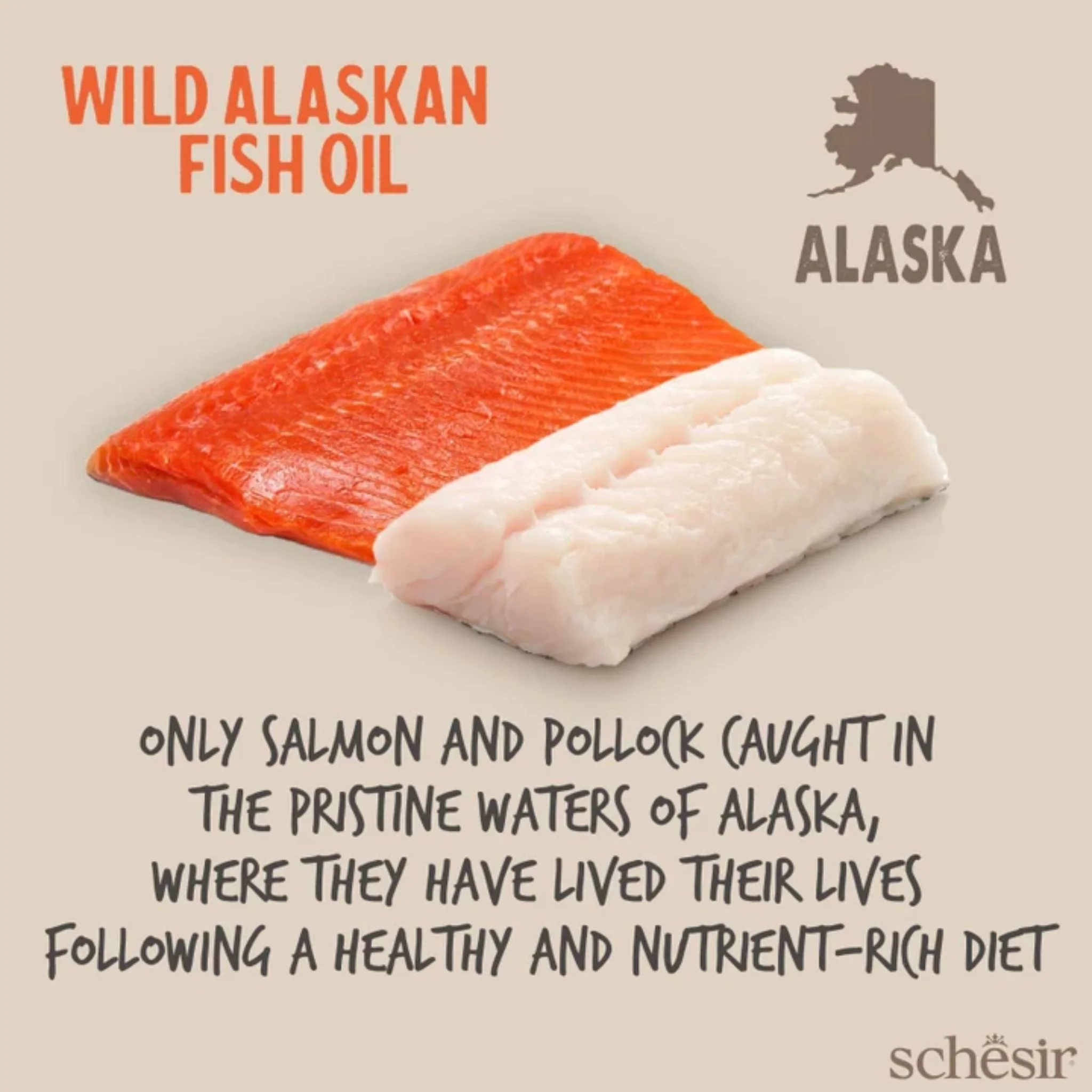 Schesir Wild Alaskan Fish Oil Omega 3 For Dog & Cat - Image 5