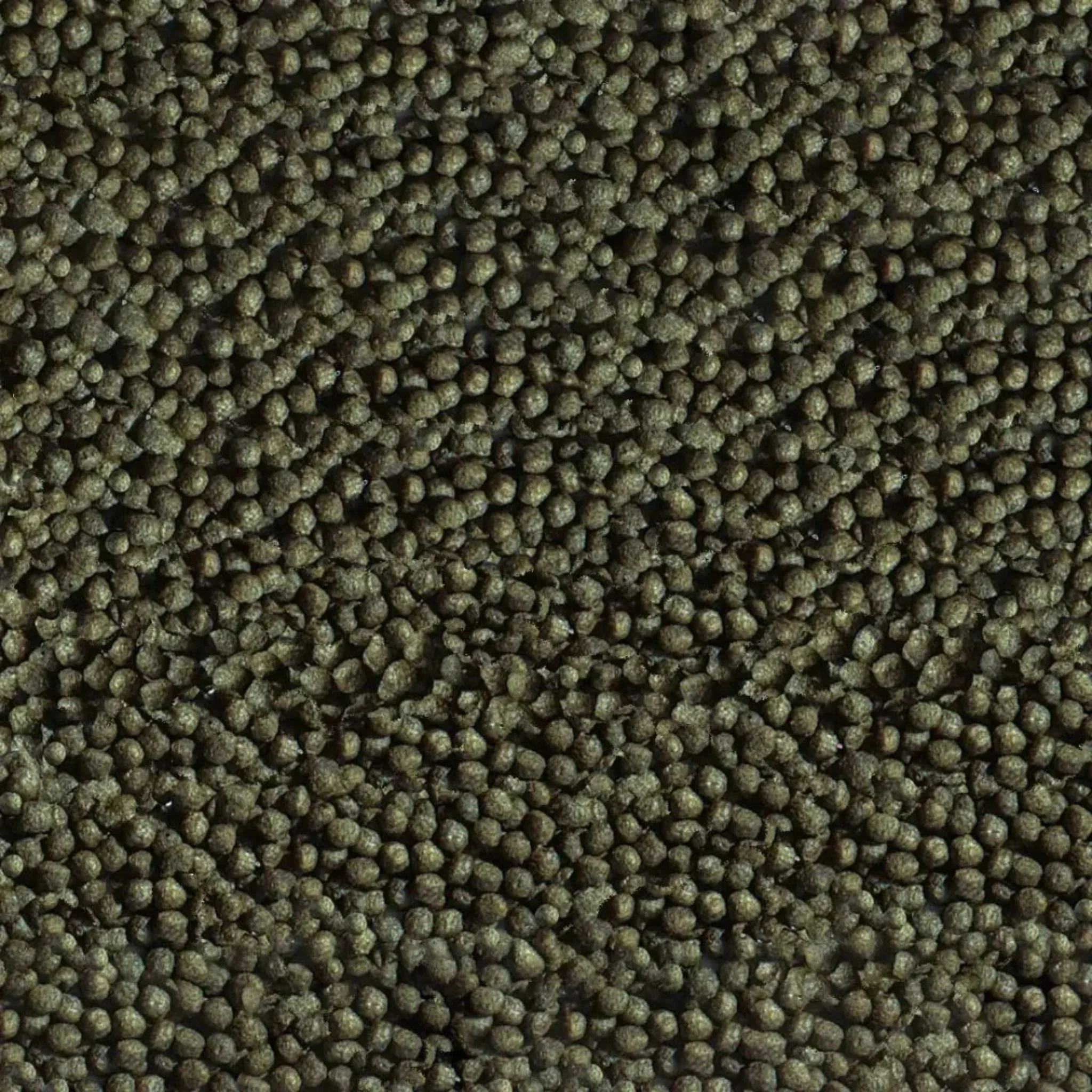 Sera Goldy Color Spirulina Goldfish Food With Spirulina - 250ML - Image 2