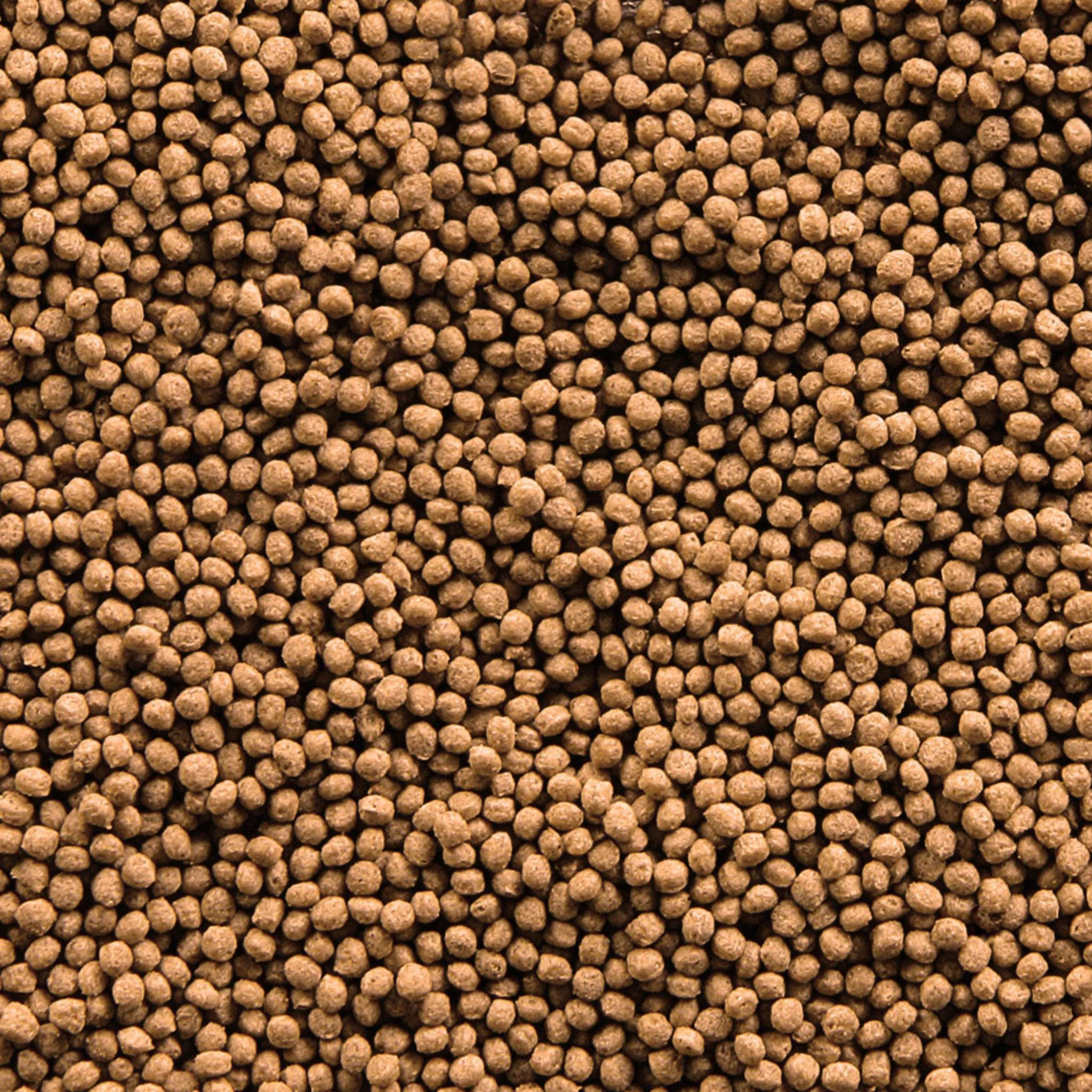 Sera Goldy Gran Nature Large Pack Goldfish Granules - 1000ML - Image 2