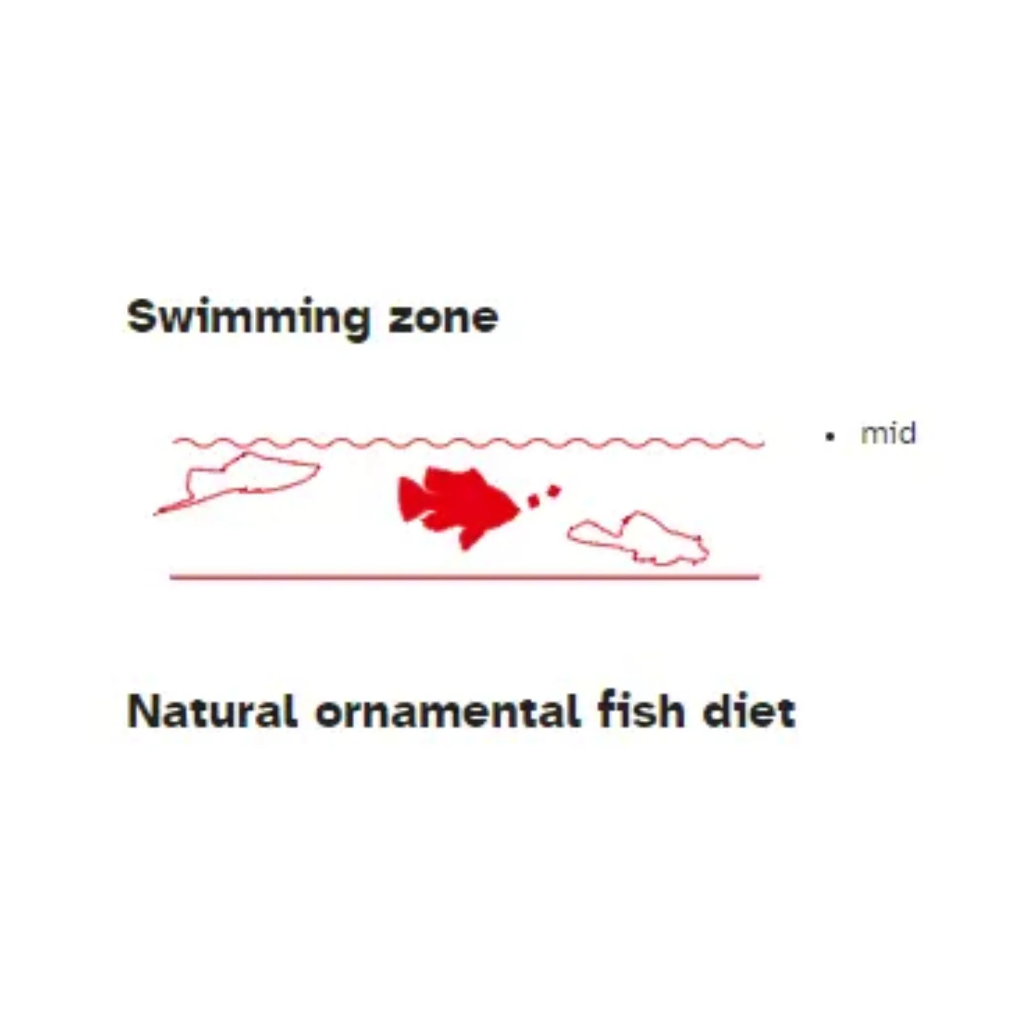 Sera Cichlid Sticks Nature Fish Food - 1L - Image 3