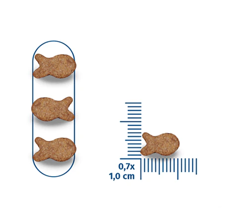 Seven Cats Dry Food For Adult - Beef,Salmon & Chicken - 10kg+100g - Image 3