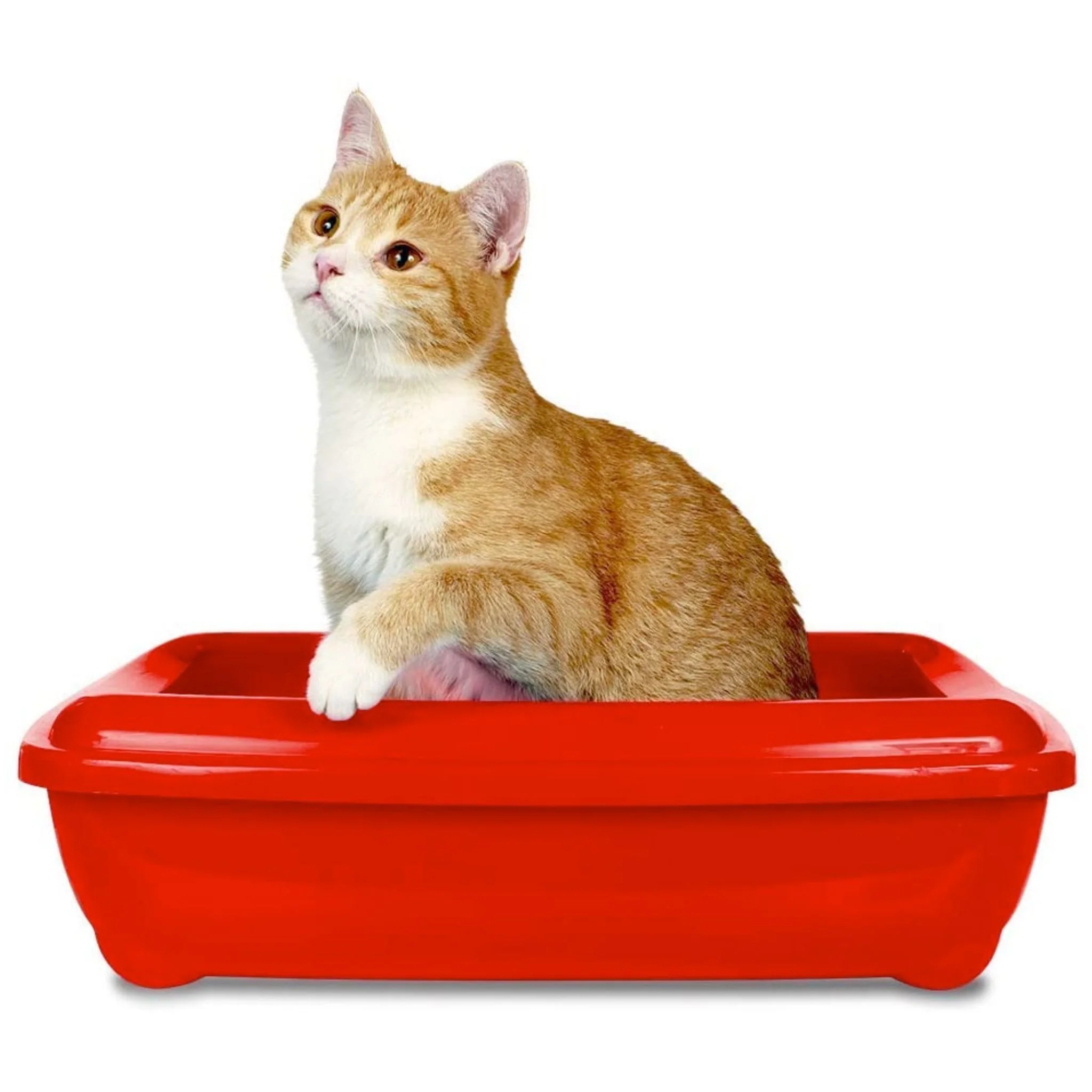 Simple Solution Cat Litter Tray Deodoriser – 500ml - Image 4