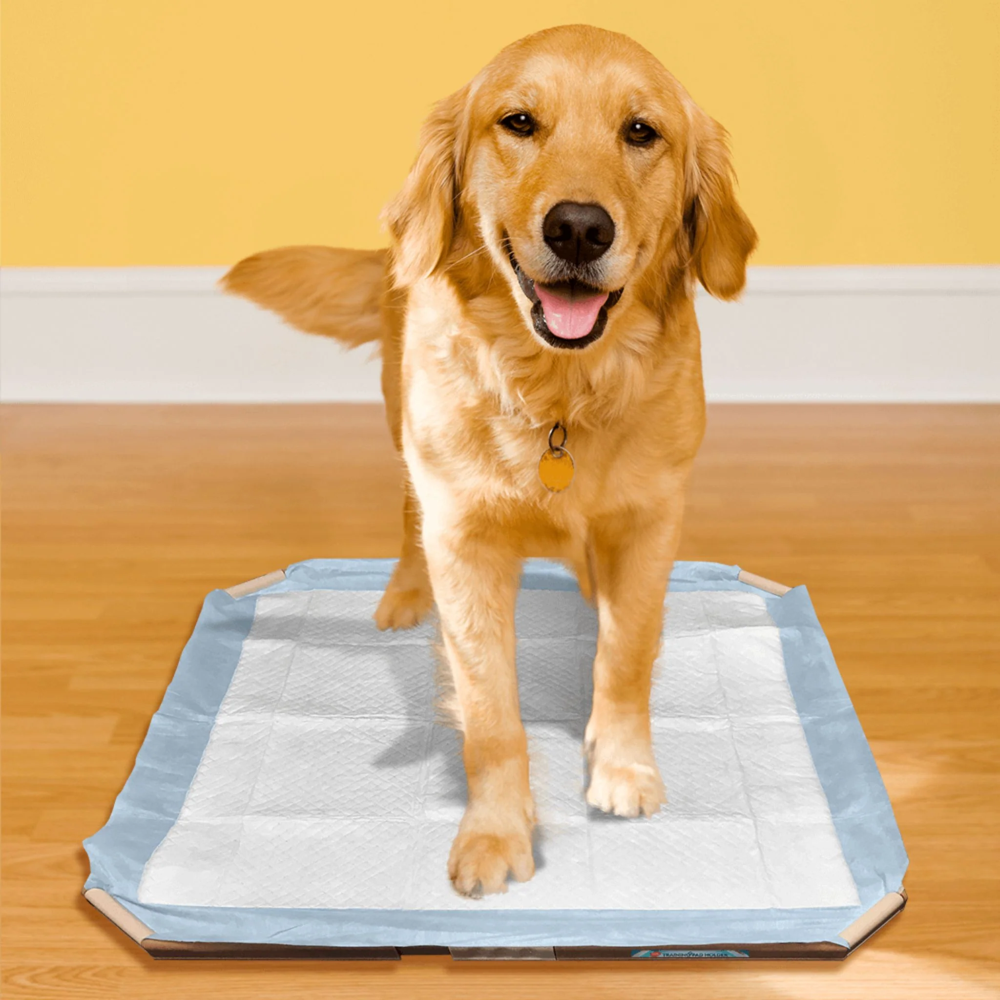 Simple Solution Puppy Training Pad Holder - Image 4