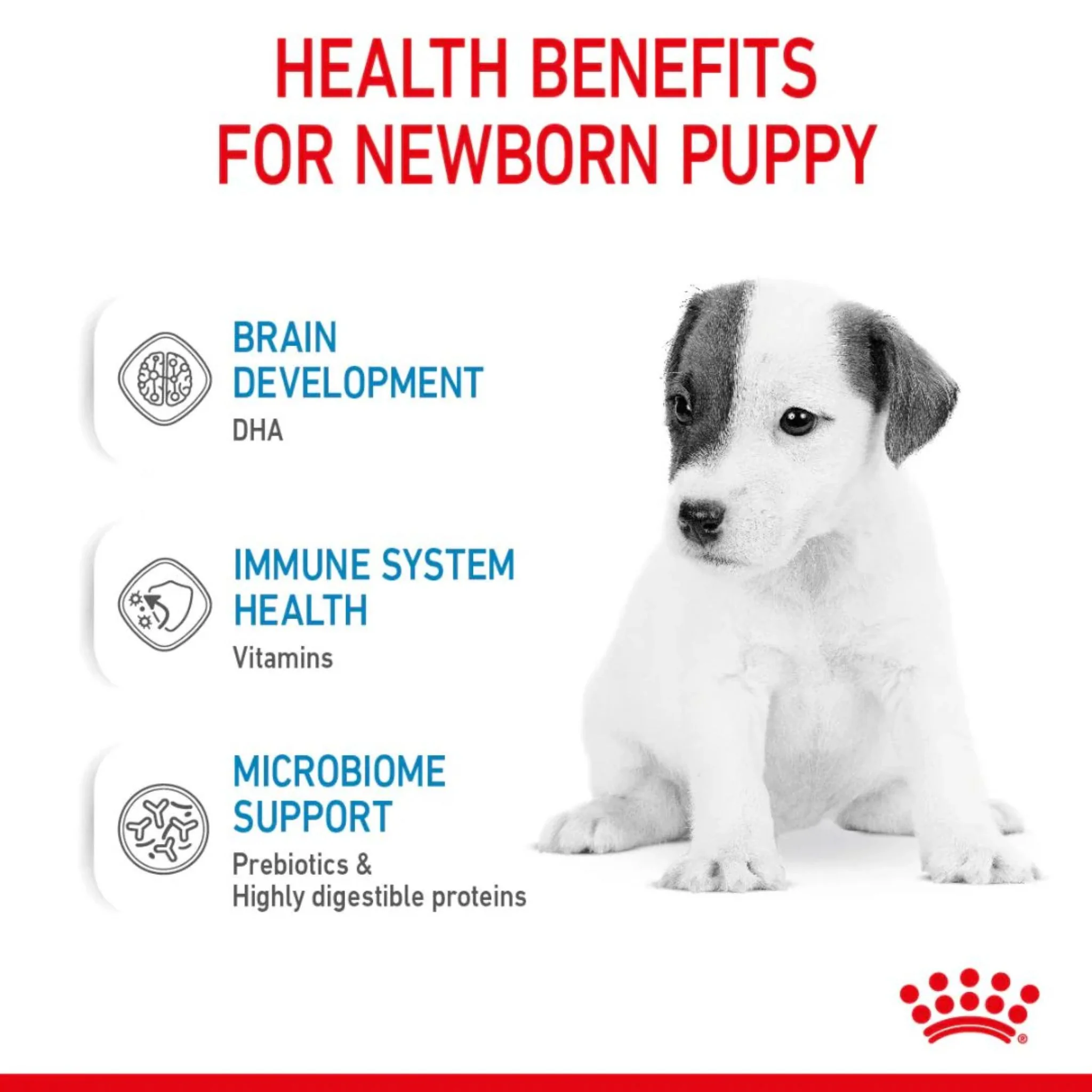 Royal Canin Size Health Puppy Milk Powder - 400g - Image 4