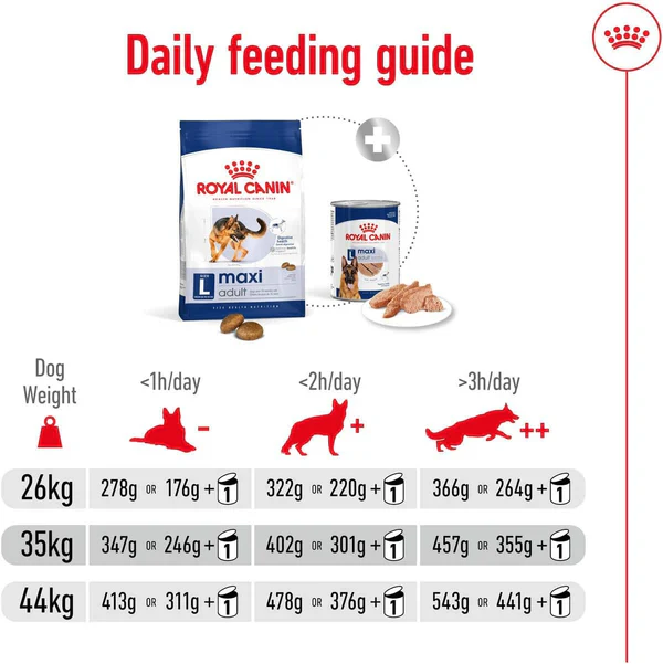 Royal Canin Maxi Adult Healthy Dry Dog Food - Image 3