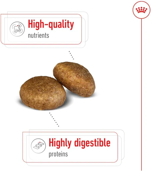 Royal Canin Maxi Adult Healthy Dry Dog Food - Image 5