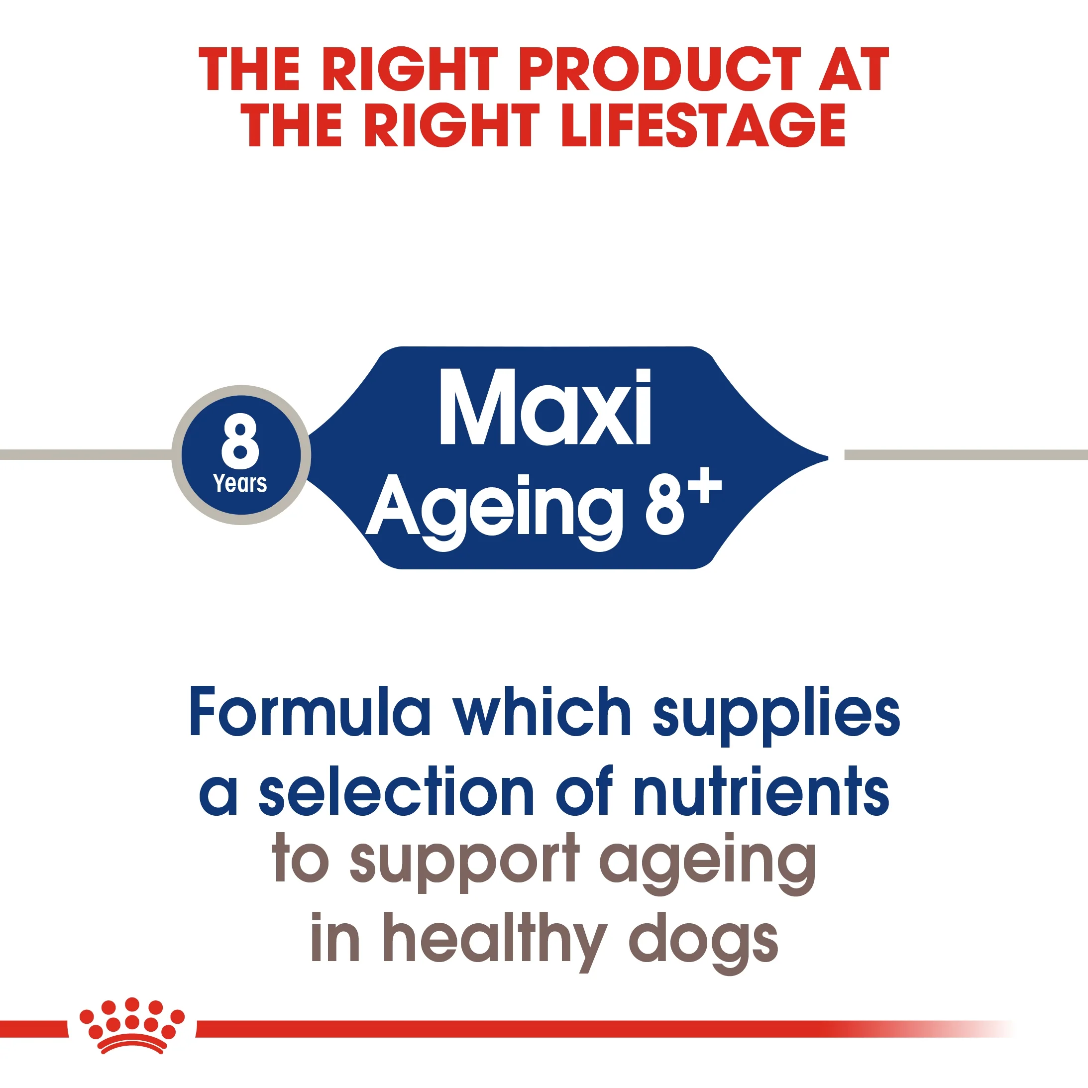 Royal Canin Size Health Maxi Ageing 8+ Dry Dog food - 15kg - Image 6
