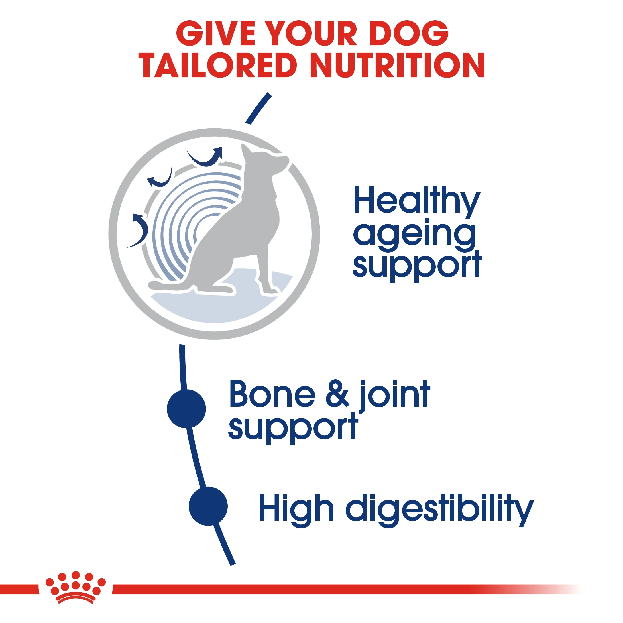 Royal Canin Size Health Maxi Ageing 8+ Dry Dog food - 15kg - Image 7