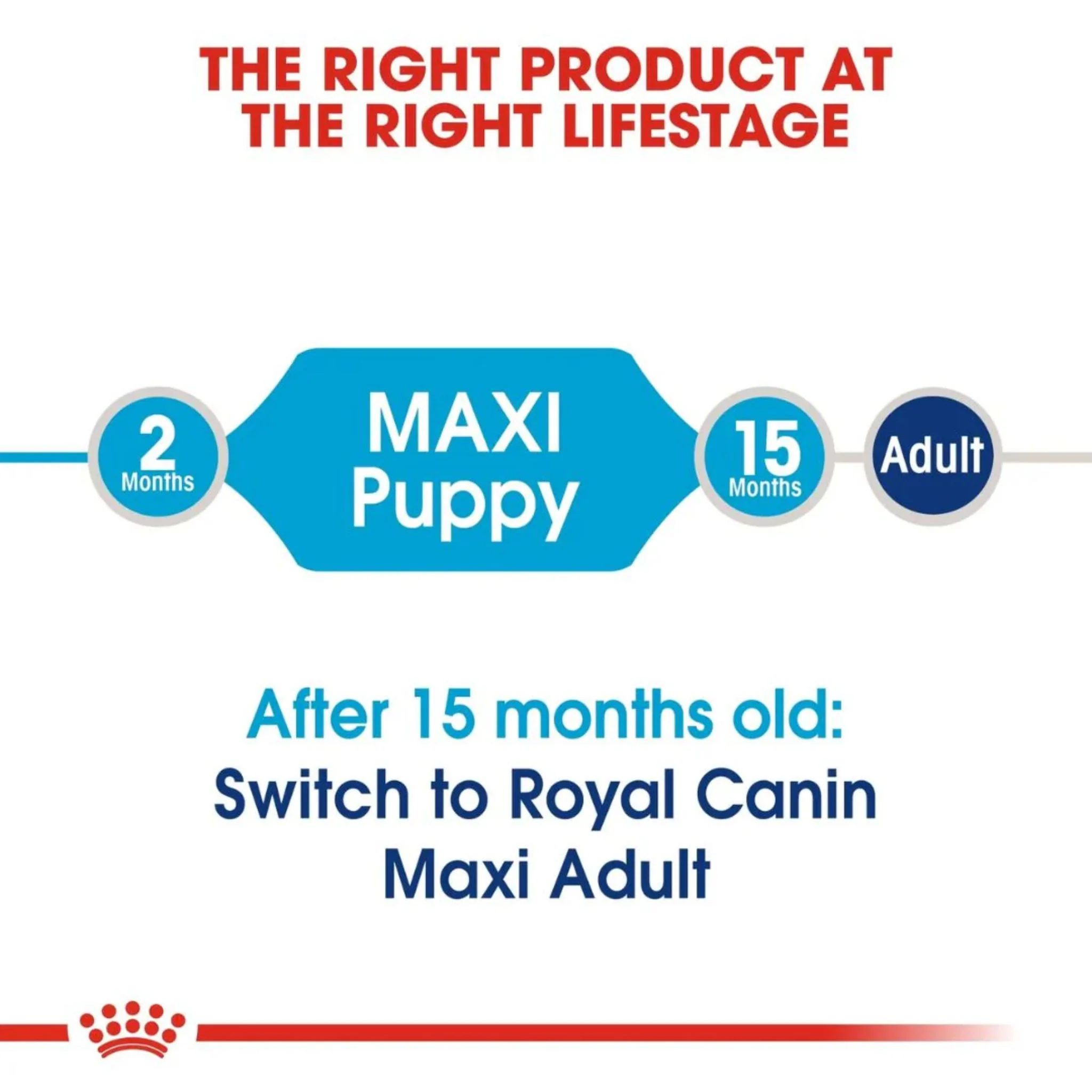 Royal Canin Maxi Puppy Healthy Dry Food - Image 3