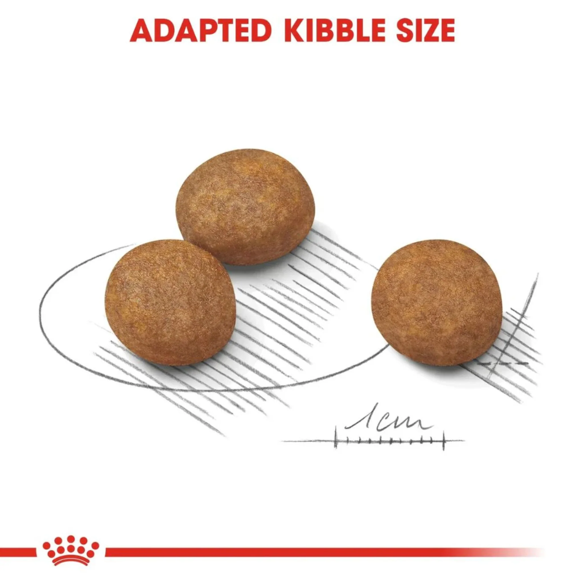 Royal Canin Maxi Puppy Healthy Dry Food - Image 4