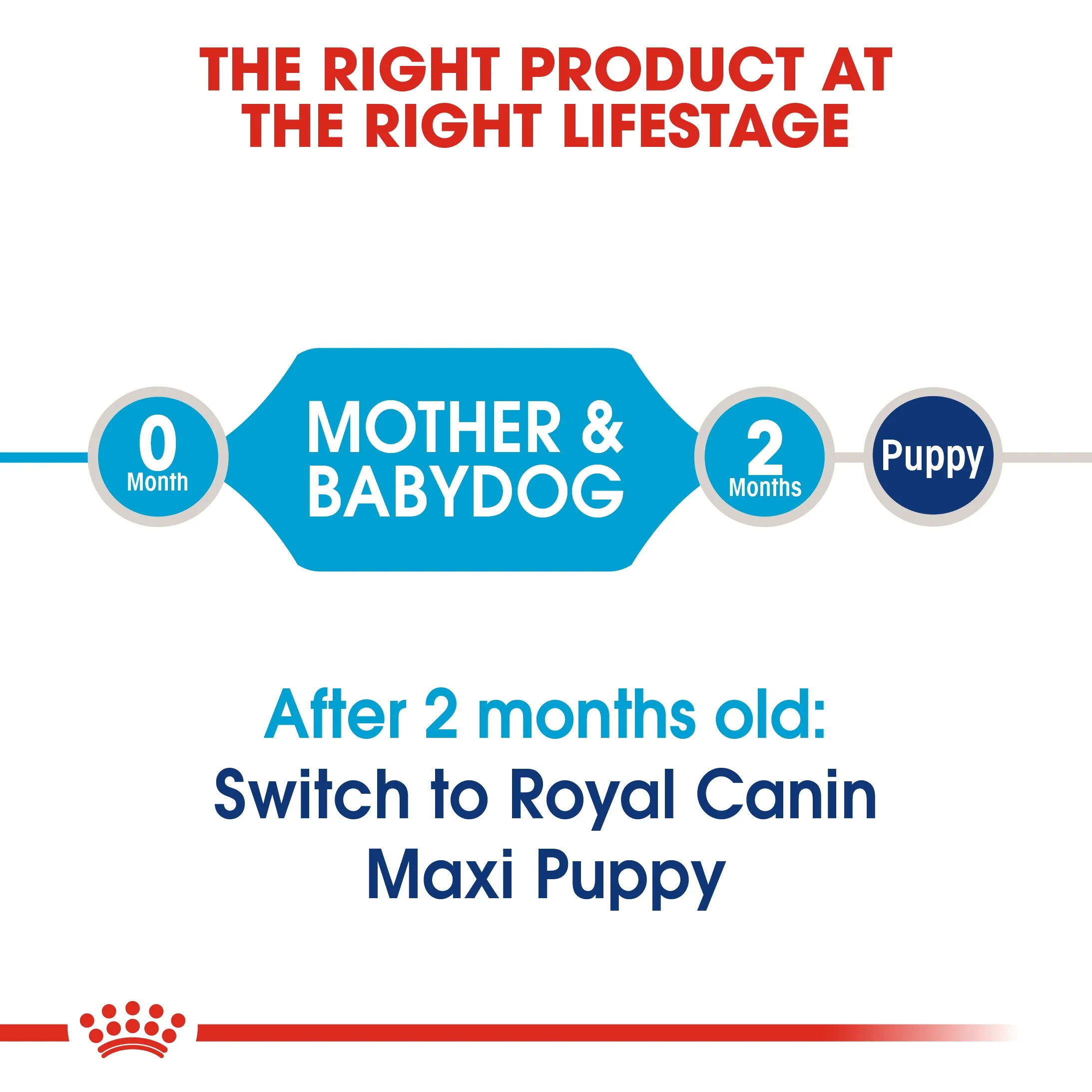 Royal Canin Size Health Maxi Starter Puppy Dry Food - 15kg - Image 3