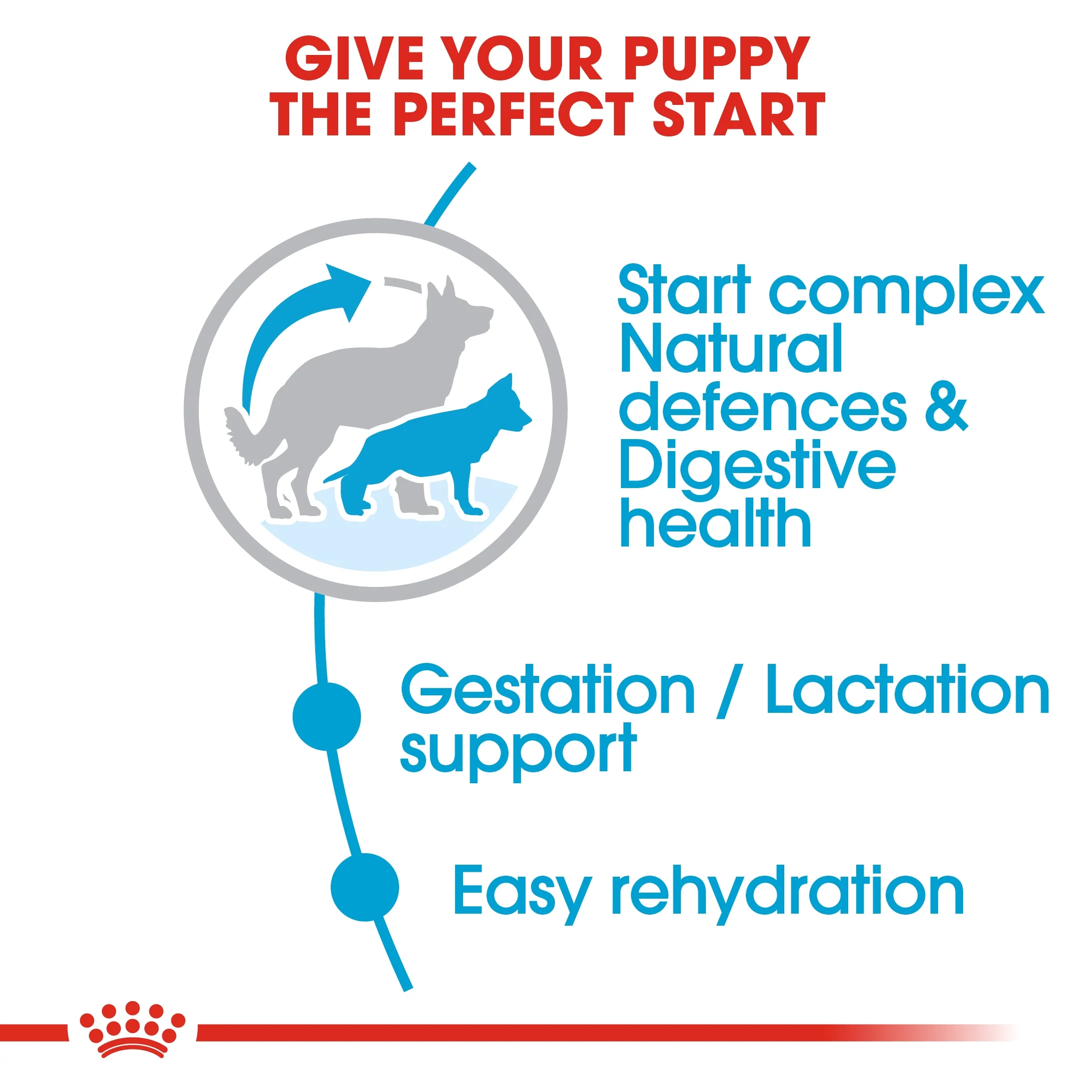 Royal Canin Size Health Maxi Starter Puppy Dry Food - 15kg - Image 4