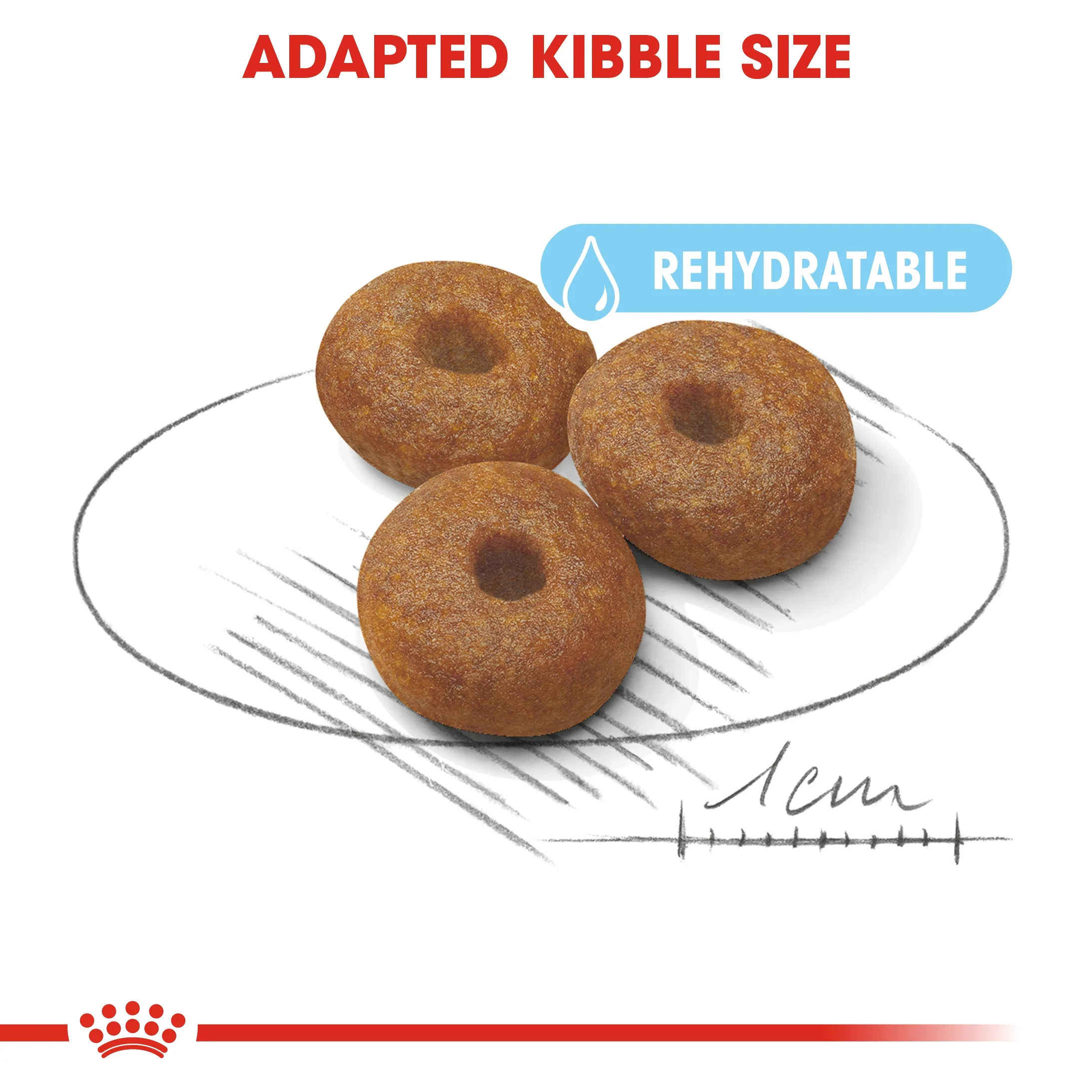 Royal Canin Size Health Maxi Starter Puppy Dry Food - 15kg - Image 5