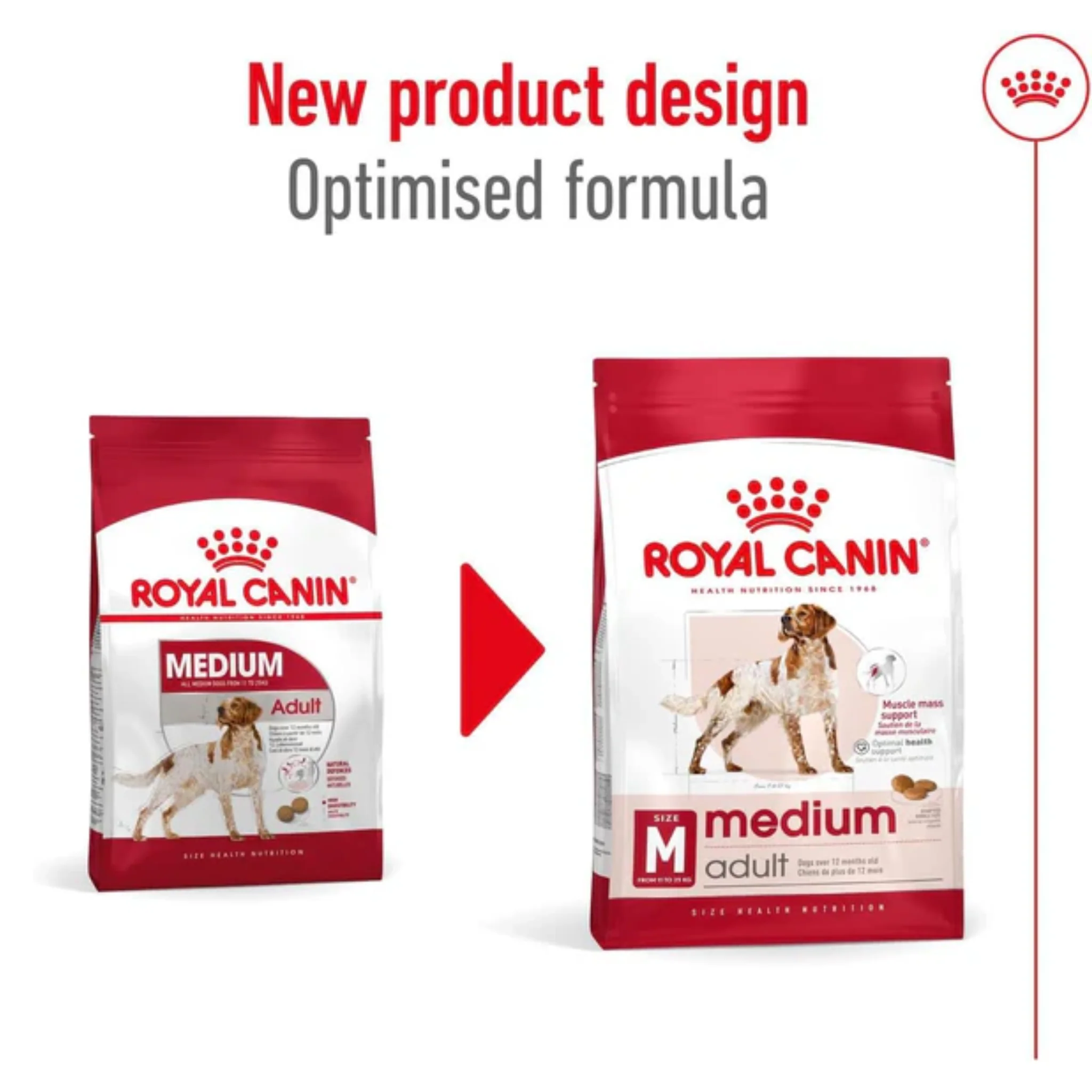 Royal Canin Medium Adult Healthy Dog Food - Image 2