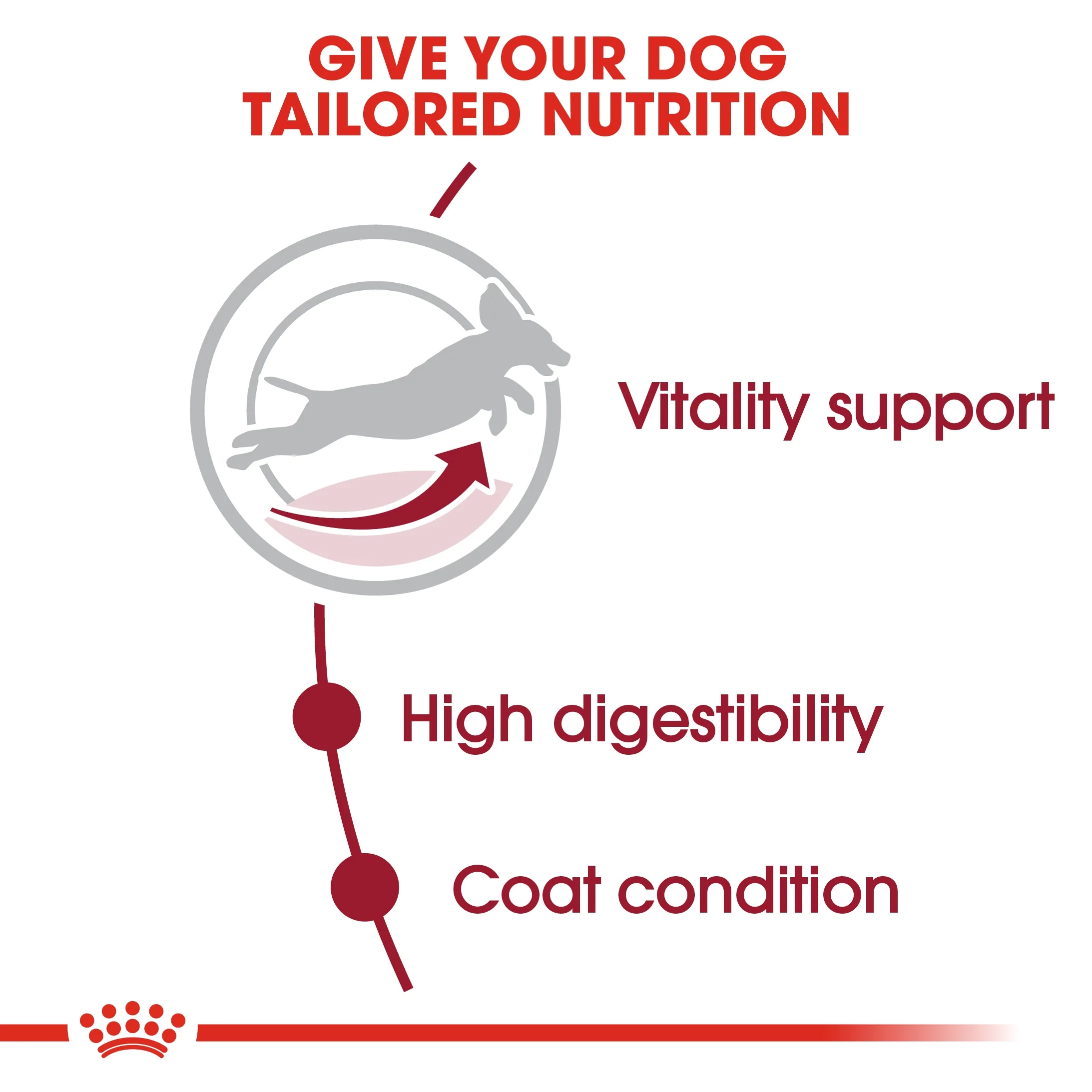 Royal Canin Size Health Medium Adult 7+ Dry Dog Food - 10kg - Image 3