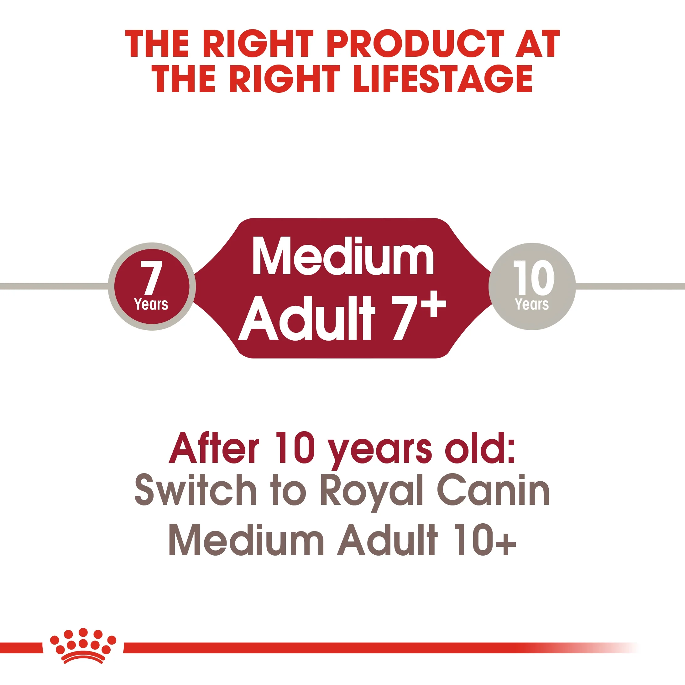 Royal Canin Size Health Medium Adult 7+ Dry Dog Food - 10kg - Image 4