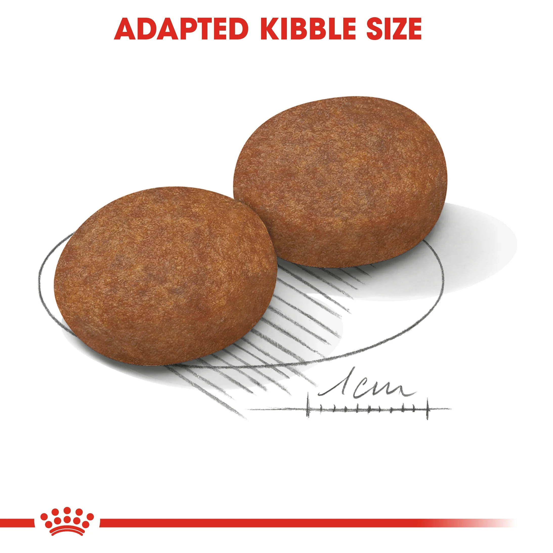 Royal Canin Size Health Medium Adult 7+ Dry Dog Food - 10kg - Image 5