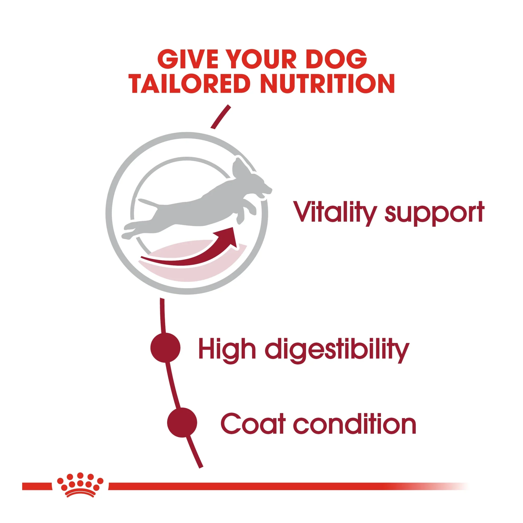Royal Canin Size Health Medium Adult 7+ Dry Dog Food - 4kg - Image 5