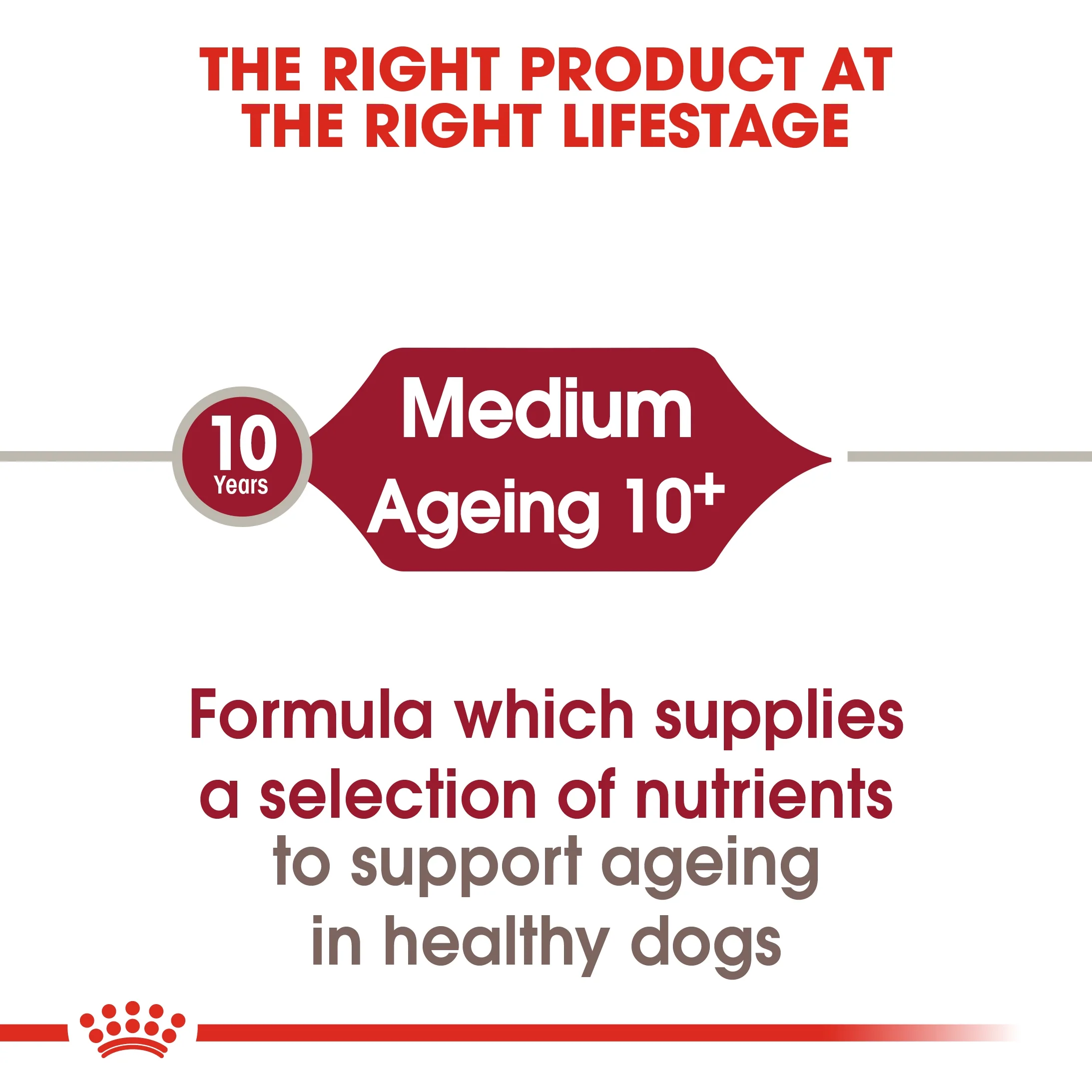 Royal Canin Size Health Medium 10+ Ageing Dry Dog Food - 3kg - Image 3